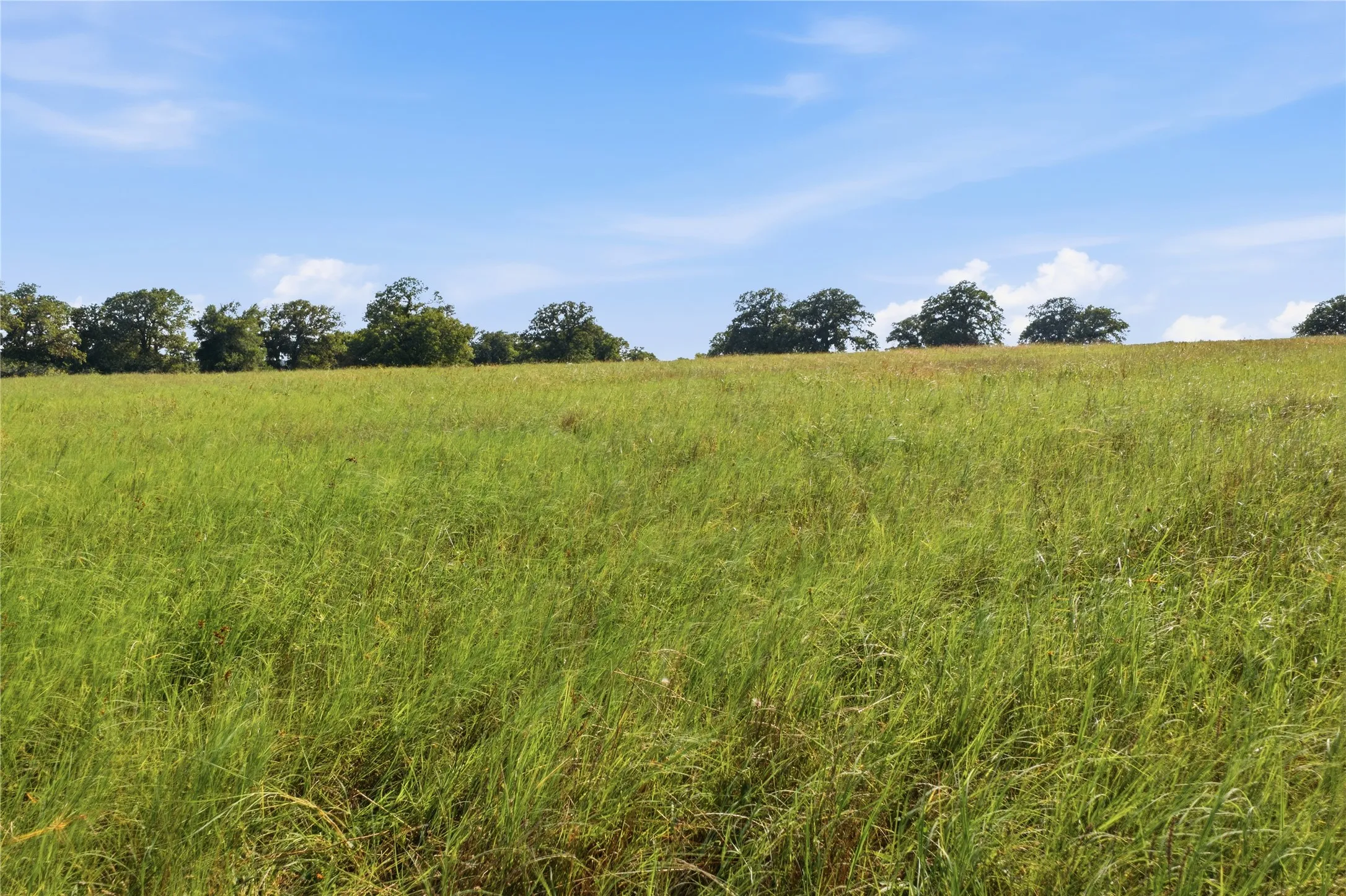 Ranch For Sale in Parker County , 5615 N FM 51, Weatherford, Texas 76085, 0, 0, Garage spaces, 0 Sqft, built in 0, Price $560,000, mls#21307489, Real Estate Agent in Weatherford, Homes For Sale in Parker county, Homes For Sale in Weatherford, Realtor in Weatherford Texas, Real Estate Brokerage Independent Realty Texas, Luminita Cordes Realtor