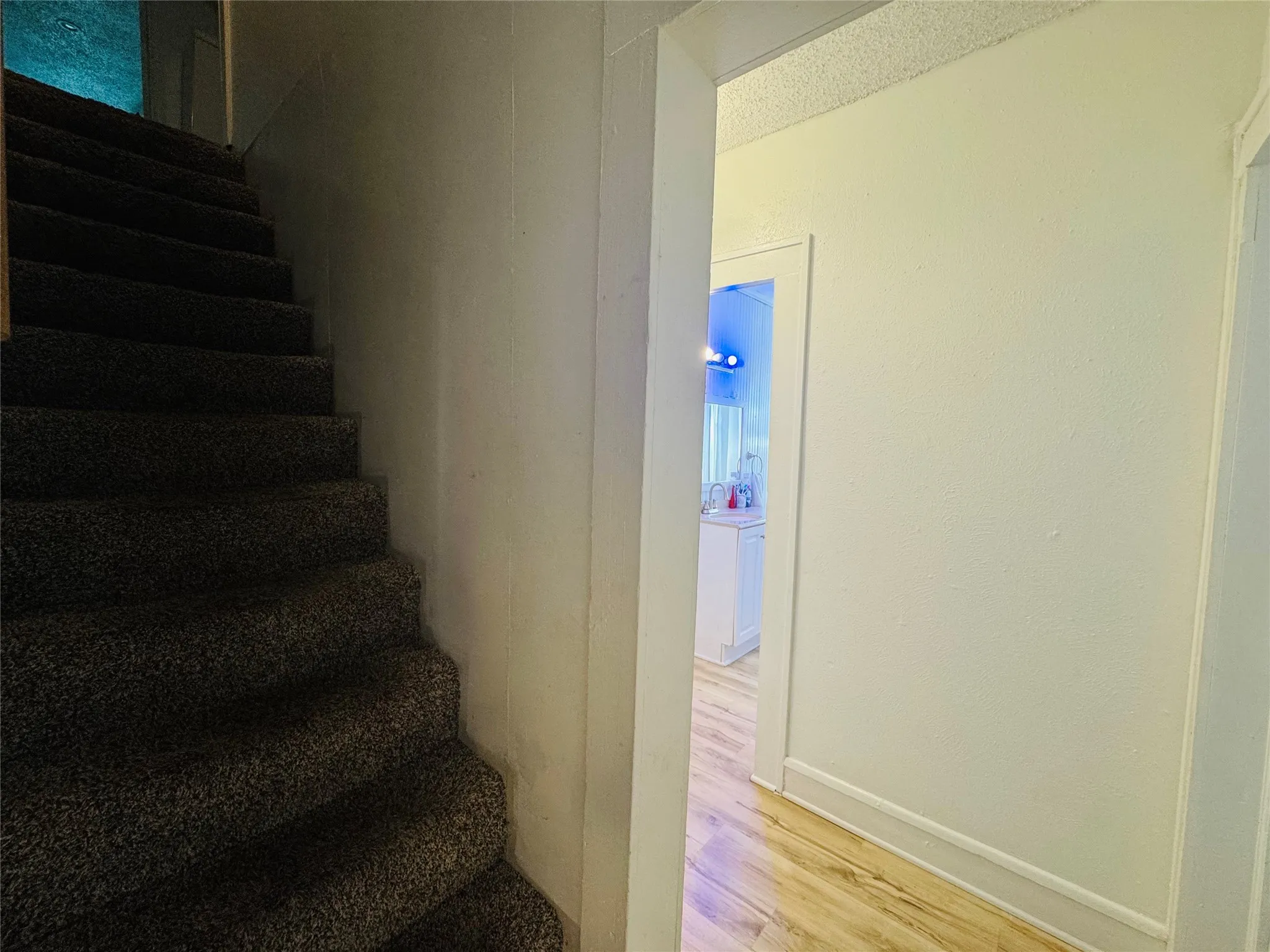 Carpeted staircase with light-toned wall paneling and wood-finish flooring
