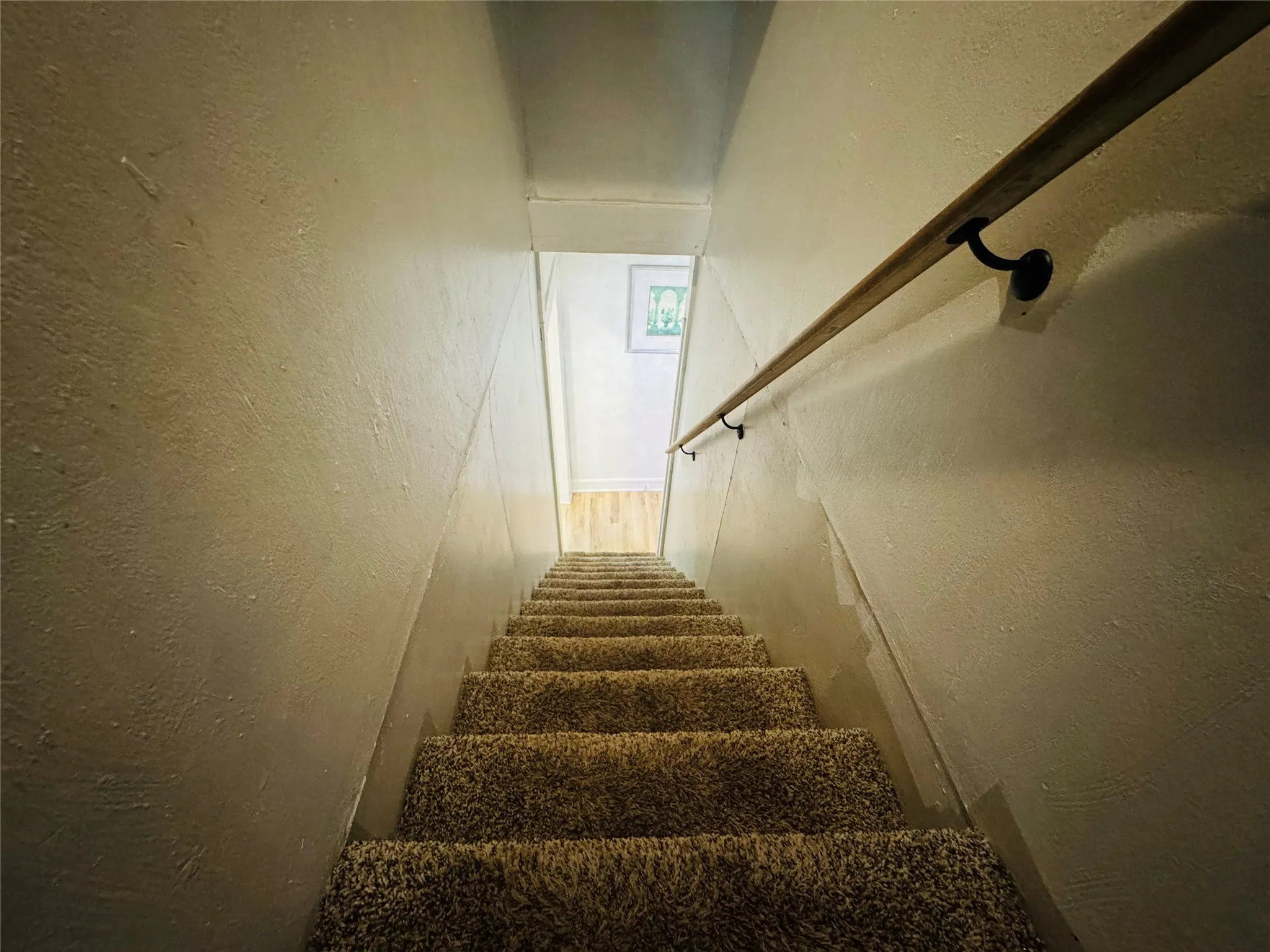 Carpeted staircase featuring a light wood handrail with matte black supports