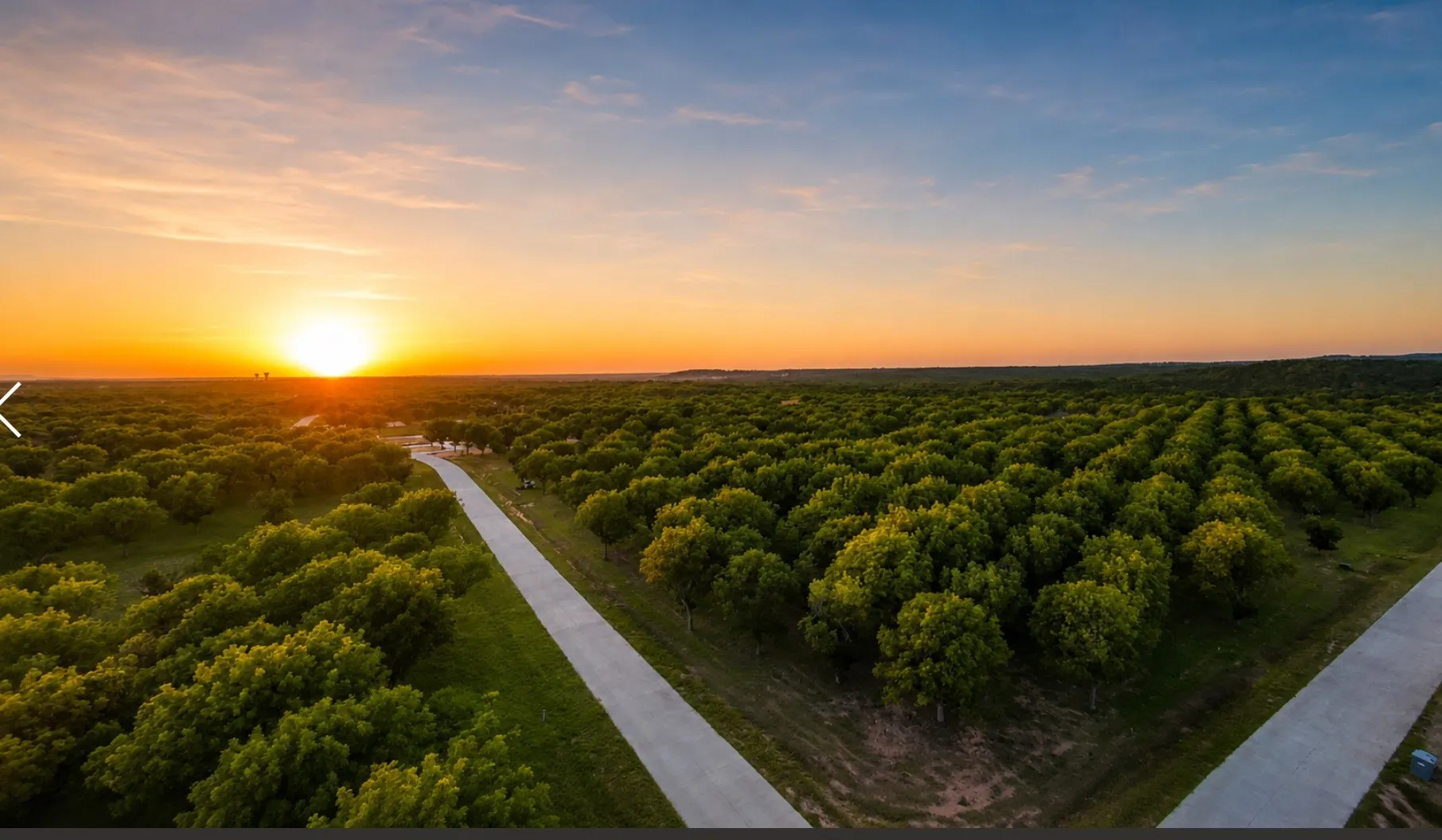 Unimproved Land For Sale in Hood County , 2537 Buckskin Drive, Granbury, Texas 76049, 0, 0, Garage spaces, 0 Sqft, built in 0, Price $160,000, mls#21311253, Real Estate Agent in Granbury, Homes For Sale in Hood county, Homes For Sale in Granbury, Realtor in Granbury Texas, Real Estate Brokerage Independent Realty Texas, Luminita Cordes Realtor