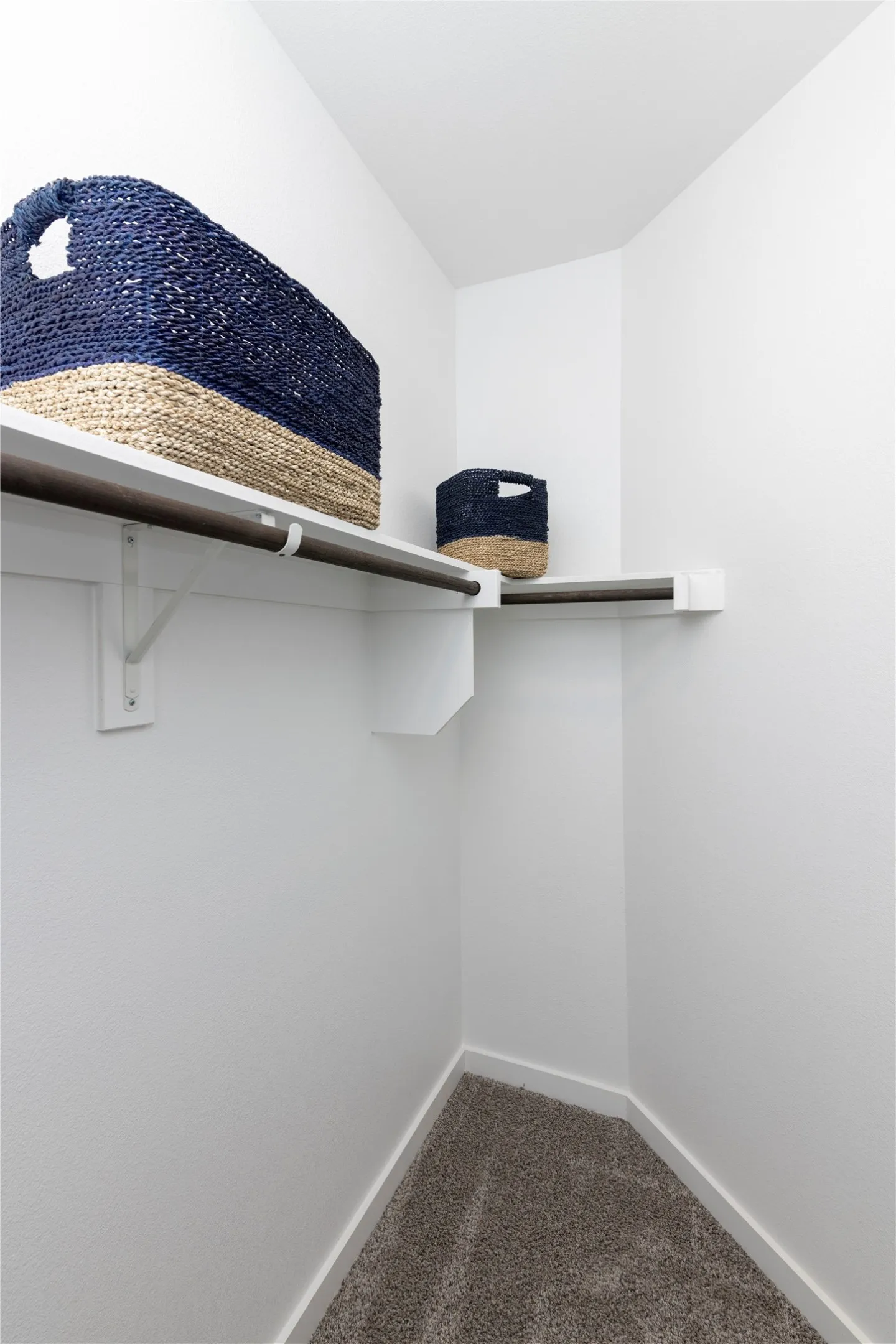 Walk-in closet featuring white painted walls, white shelving, a dark-finish hanging rod, and carpet flooring