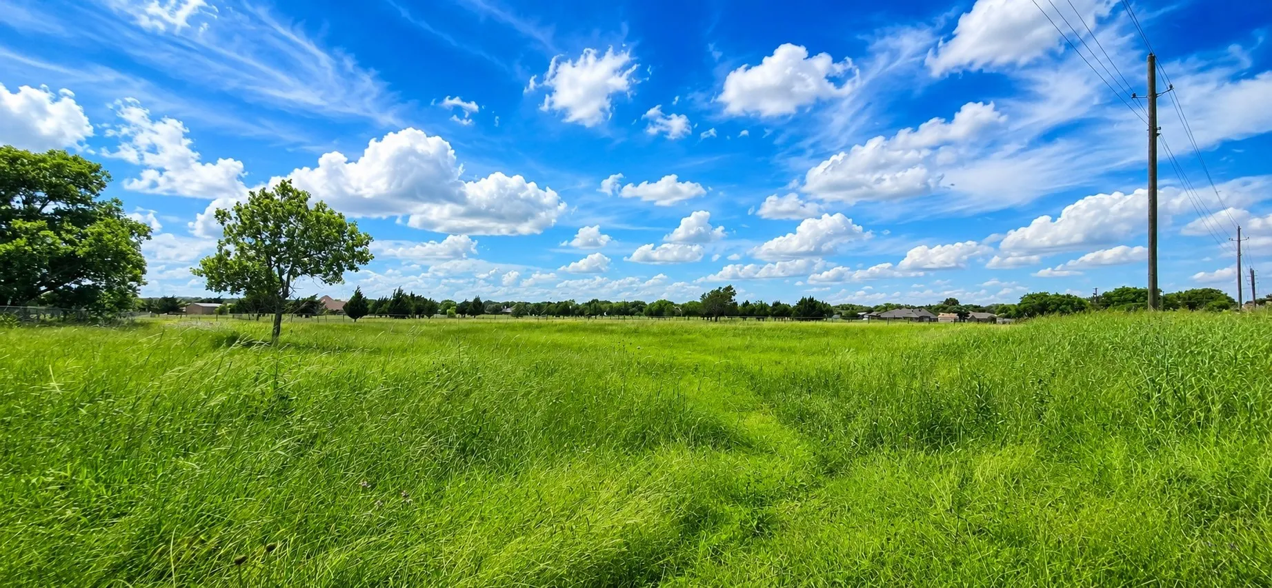 land