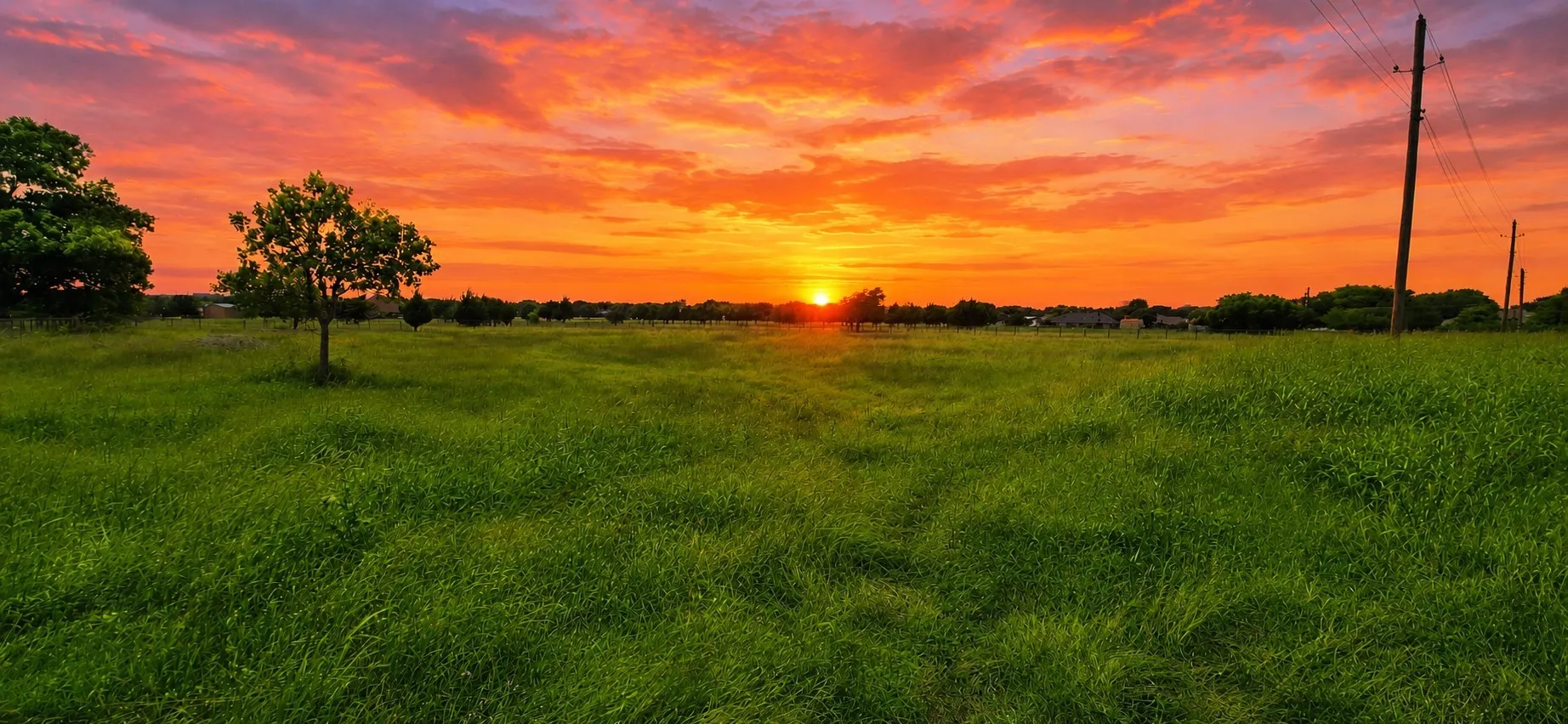 land