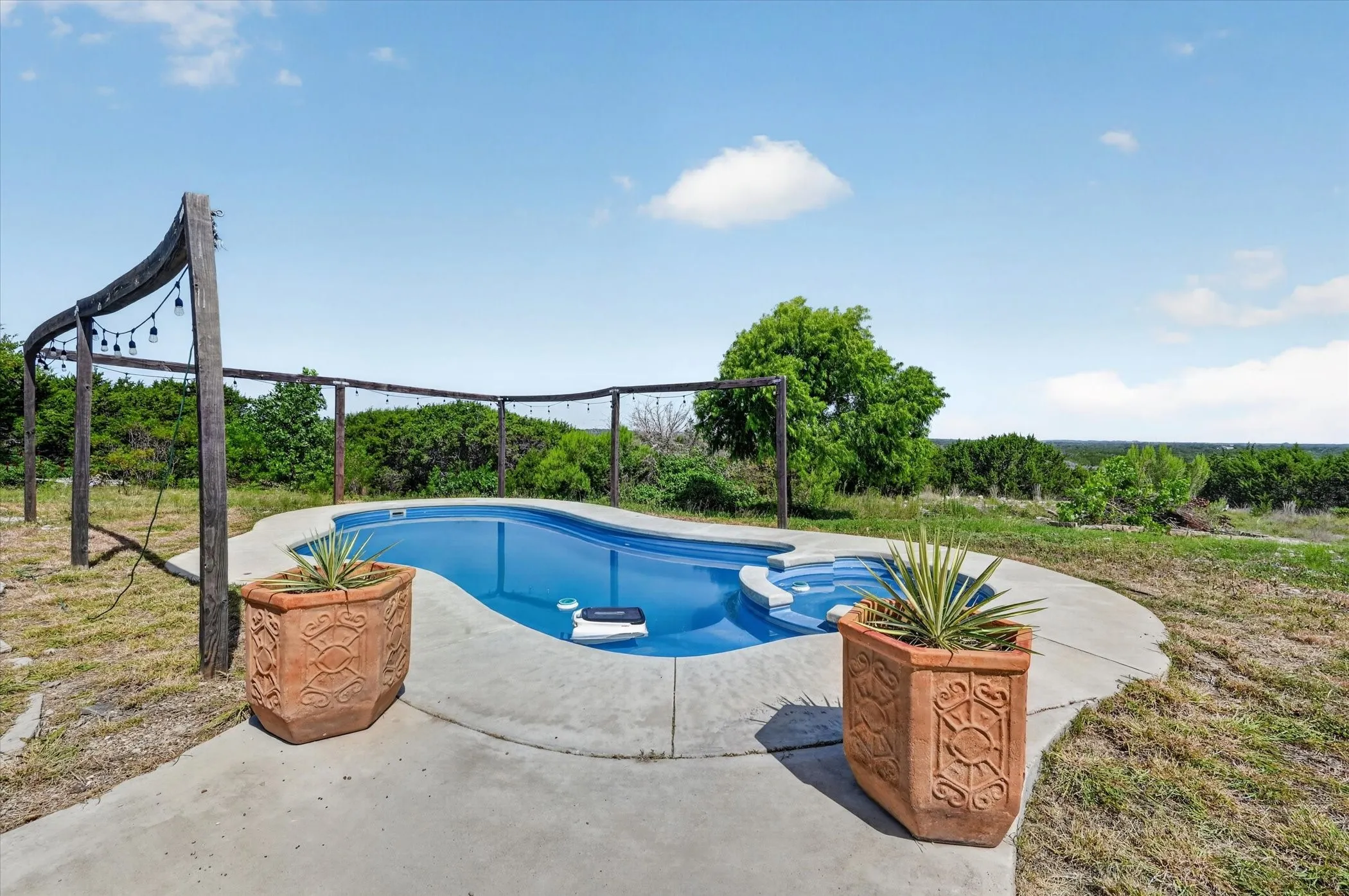 Freeform swimming pool with integrated spa and concrete surround.  Wooden structure was just to hold up the edison lights, other than that maybe a hanging plant or two, but totally decorative.