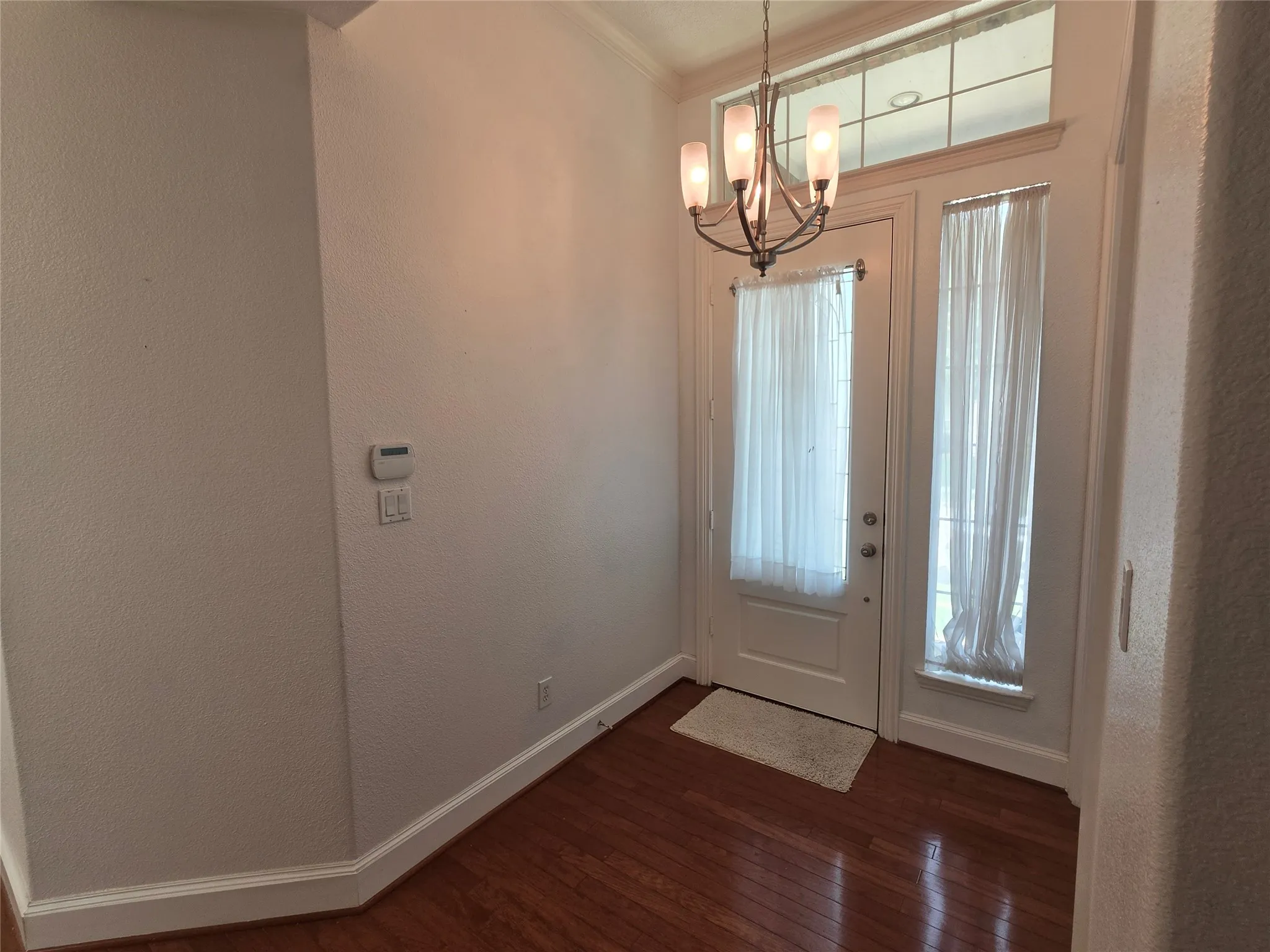 Entryway featuring wood-finish flooring, a white paneled door with an integrated window, and an adjacent full-length sidelight