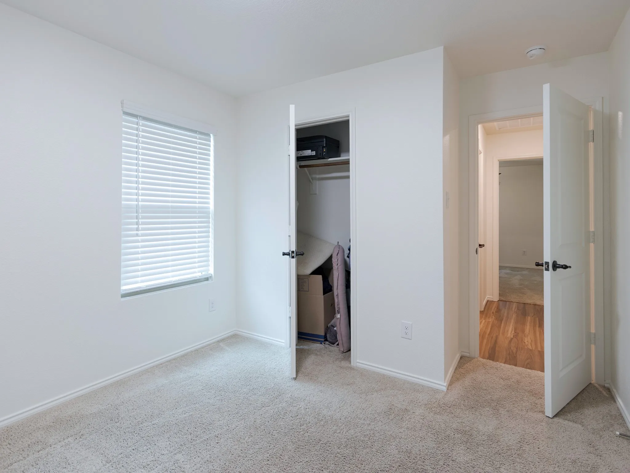 Additional secondary bedroom with multi-mode lighting.
