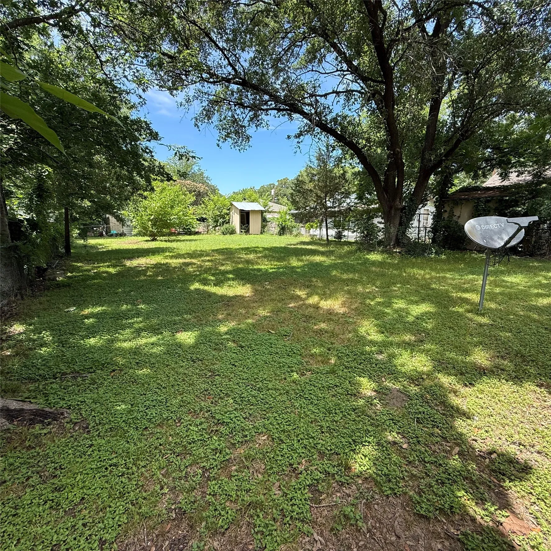 Expansive yard space featuring mature trees and a detached shed