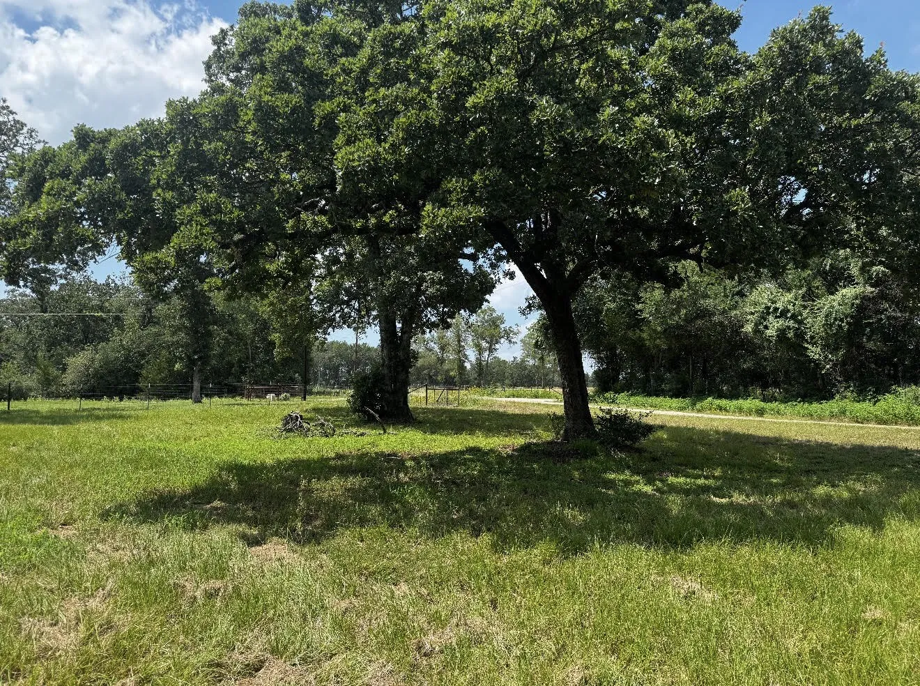 Single Family Residence For Sale in Falls County , 283 County Road 269, Kosse, Texas 76653, 4 Bedroom, 2 Bathroom, Garage spaces, 1,797 Sqft, built in 1999, mls#21309847, Real Estate Agent in Kosse, Homes For Sale in Falls county, Homes For Sale in Kosse, Realtor in Kosse Texas, Real Estate Brokerage Independent Realty Texas, Luminita Cordes Realtor