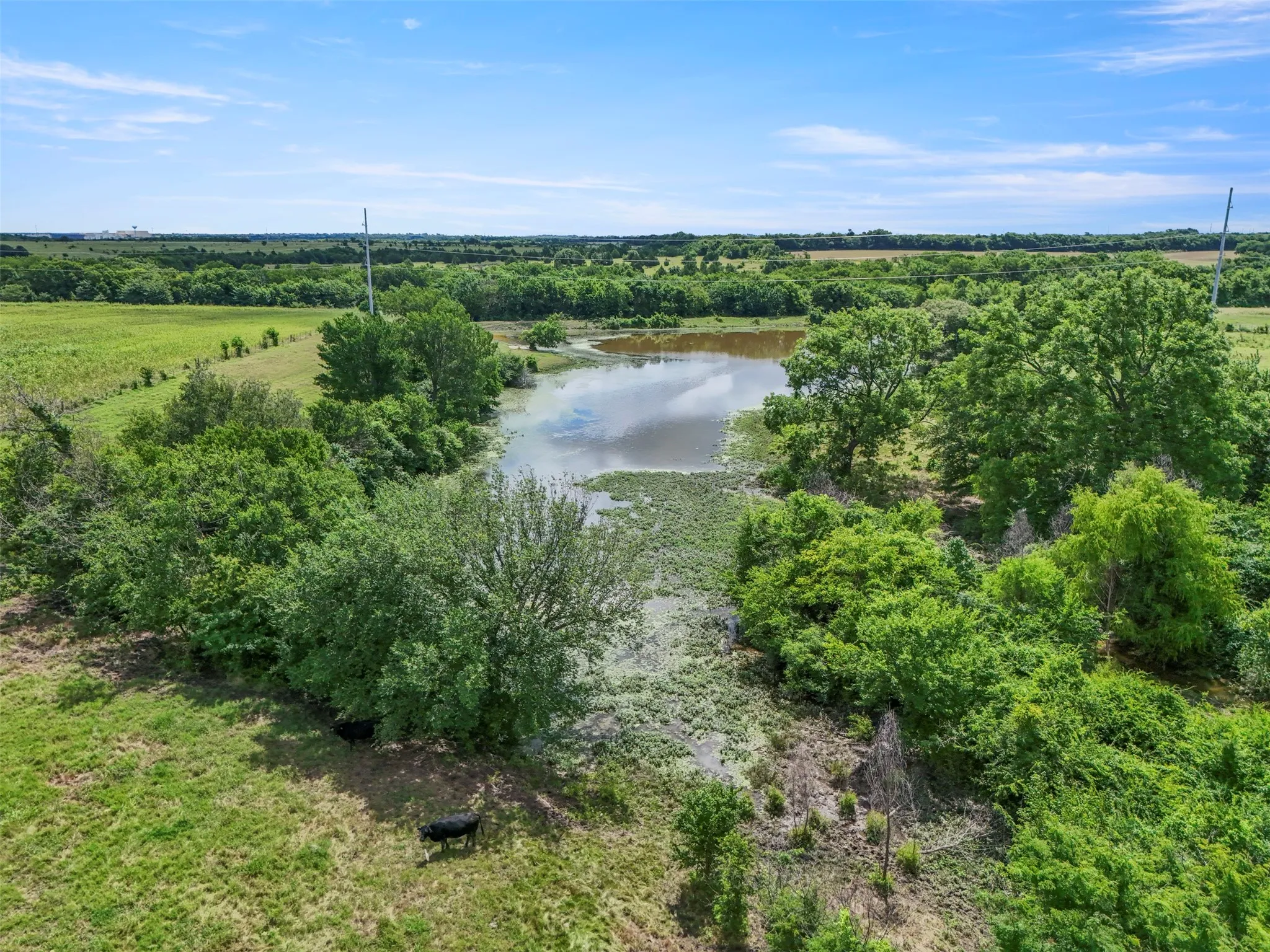 Unimproved Land For Sale in Grayson County , 2164 Ford Road, Howe, Texas 75459, 0, 0, Garage spaces, 0 Sqft, built in 0, mls#21291674, Real Estate Agent in Howe, Homes For Sale in Grayson county, Homes For Sale in Howe, Realtor in Howe Texas, Real Estate Brokerage Independent Realty Texas, Luminita Cordes Realtor