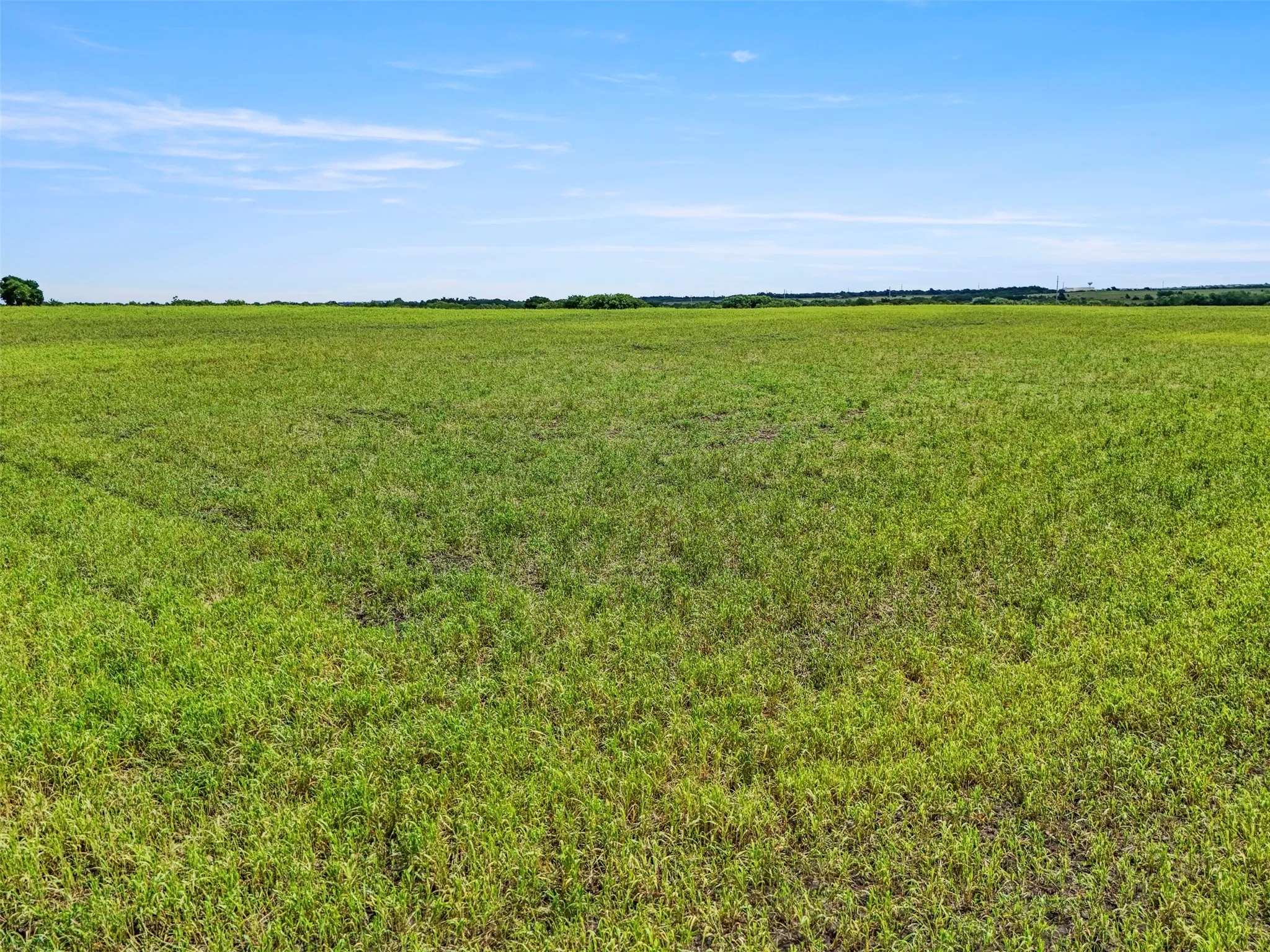 Unimproved Land For Sale in Grayson County , 2164 Ford Road, Howe, Texas 75459, 0, 0, Garage spaces, 0 Sqft, built in 0, mls#21291674, Real Estate Agent in Howe, Homes For Sale in Grayson county, Homes For Sale in Howe, Realtor in Howe Texas, Real Estate Brokerage Independent Realty Texas, Luminita Cordes Realtor