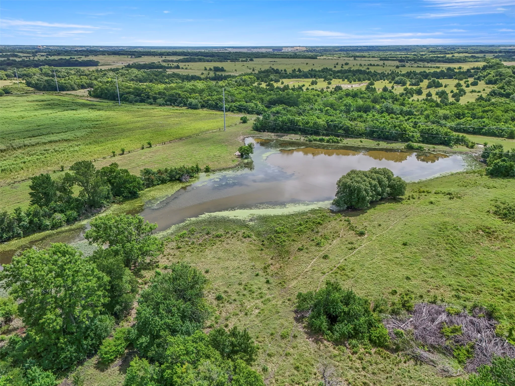 Unimproved Land For Sale in Grayson County , 2164 Ford Road, Howe, Texas 75459, 0, 0, Garage spaces, 0 Sqft, built in 0, mls#21291674, Real Estate Agent in Howe, Homes For Sale in Grayson county, Homes For Sale in Howe, Realtor in Howe Texas, Real Estate Brokerage Independent Realty Texas, Luminita Cordes Realtor