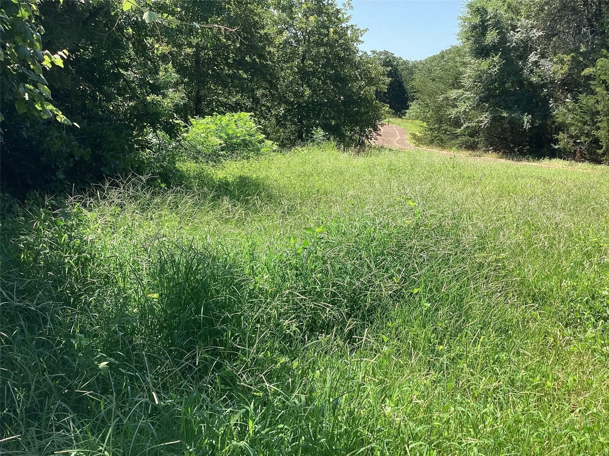 Unimproved Land For Sale in Grayson County , TBD Ledbetter Lane, Denison, Texas 75021, 0, 0, Garage spaces, 0 Sqft, built in 0, Price $134,000, mls#21312593, Real Estate Agent in Denison, Homes For Sale in Grayson county, Homes For Sale in Denison, Realtor in Denison Texas, Real Estate Brokerage Independent Realty Texas, Luminita Cordes Realtor