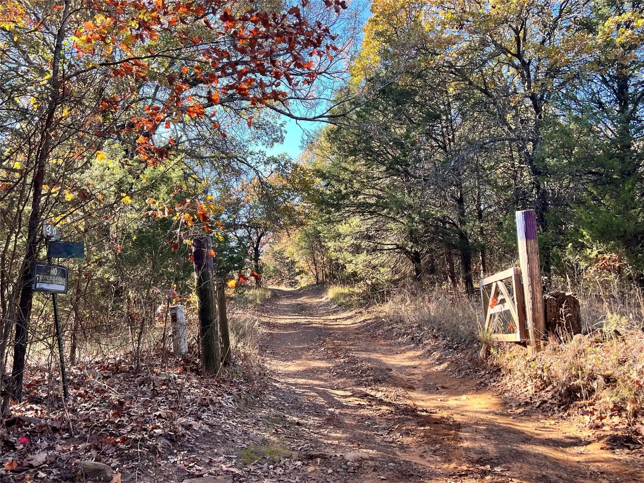 Unimproved Land For Sale in Grayson County , TBD Ledbetter Lane, Denison, Texas 75021, 0, 0, Garage spaces, 0 Sqft, built in 0, Price $134,000, mls#21312593, Real Estate Agent in Denison, Homes For Sale in Grayson county, Homes For Sale in Denison, Realtor in Denison Texas, Real Estate Brokerage Independent Realty Texas, Luminita Cordes Realtor
