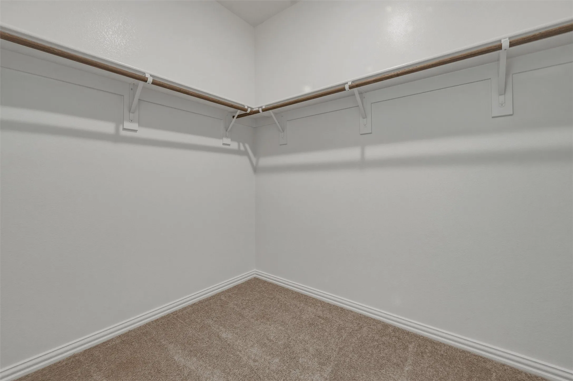 Carpeted walk-in closet with white walls, white trim, and a built-in hanging rod system