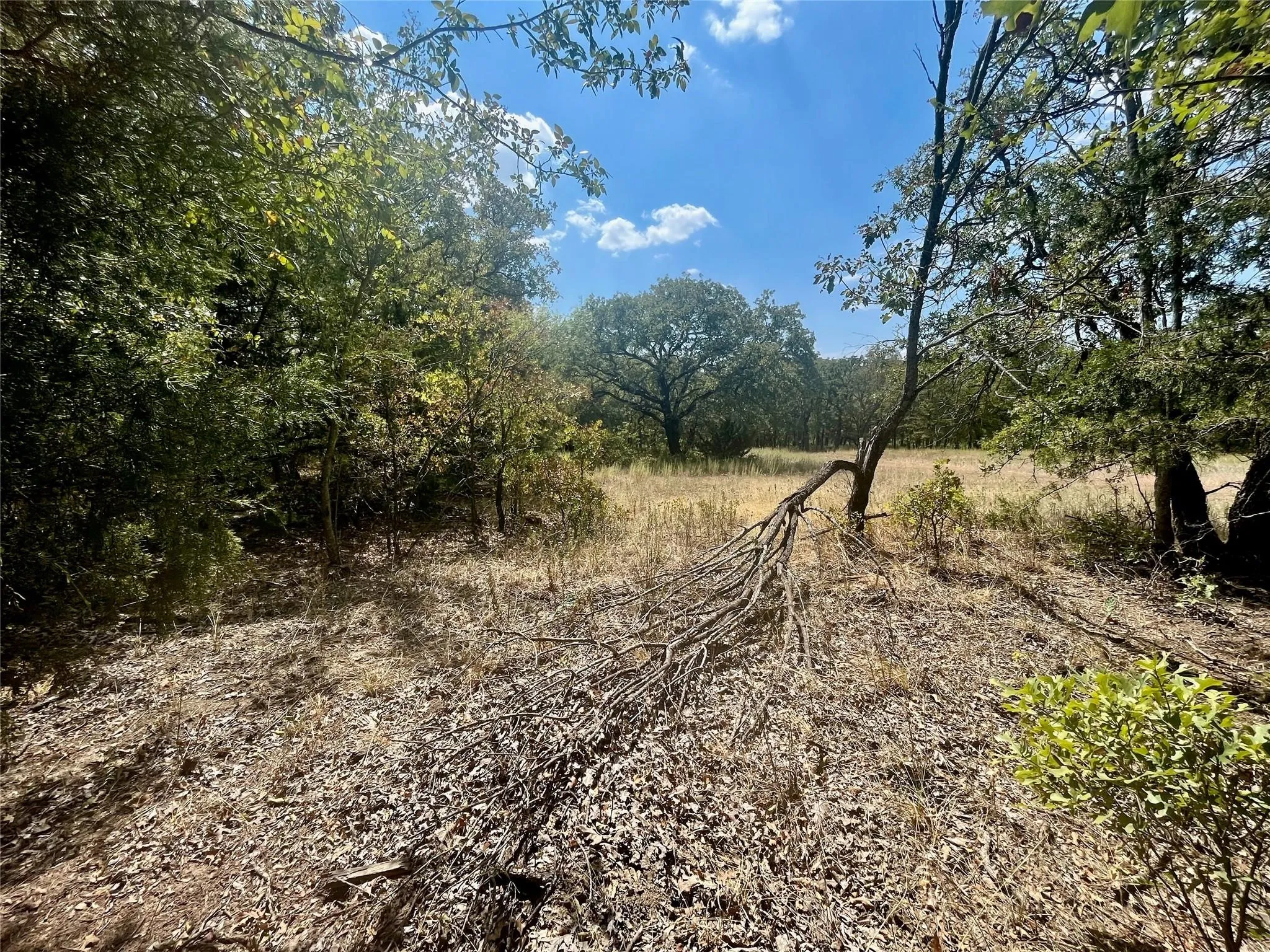 Unimproved Land For Sale in Montague County , Lot 682 Phase 7 Silverleaf, Sunset, Texas 76270, 0, 0, Garage spaces, 0 Sqft, built in 0, mls#21303575, Real Estate Agent in Sunset, Homes For Sale in Montague county, Homes For Sale in Sunset, Realtor in Sunset Texas, Real Estate Brokerage Independent Realty Texas, Luminita Cordes Realtor