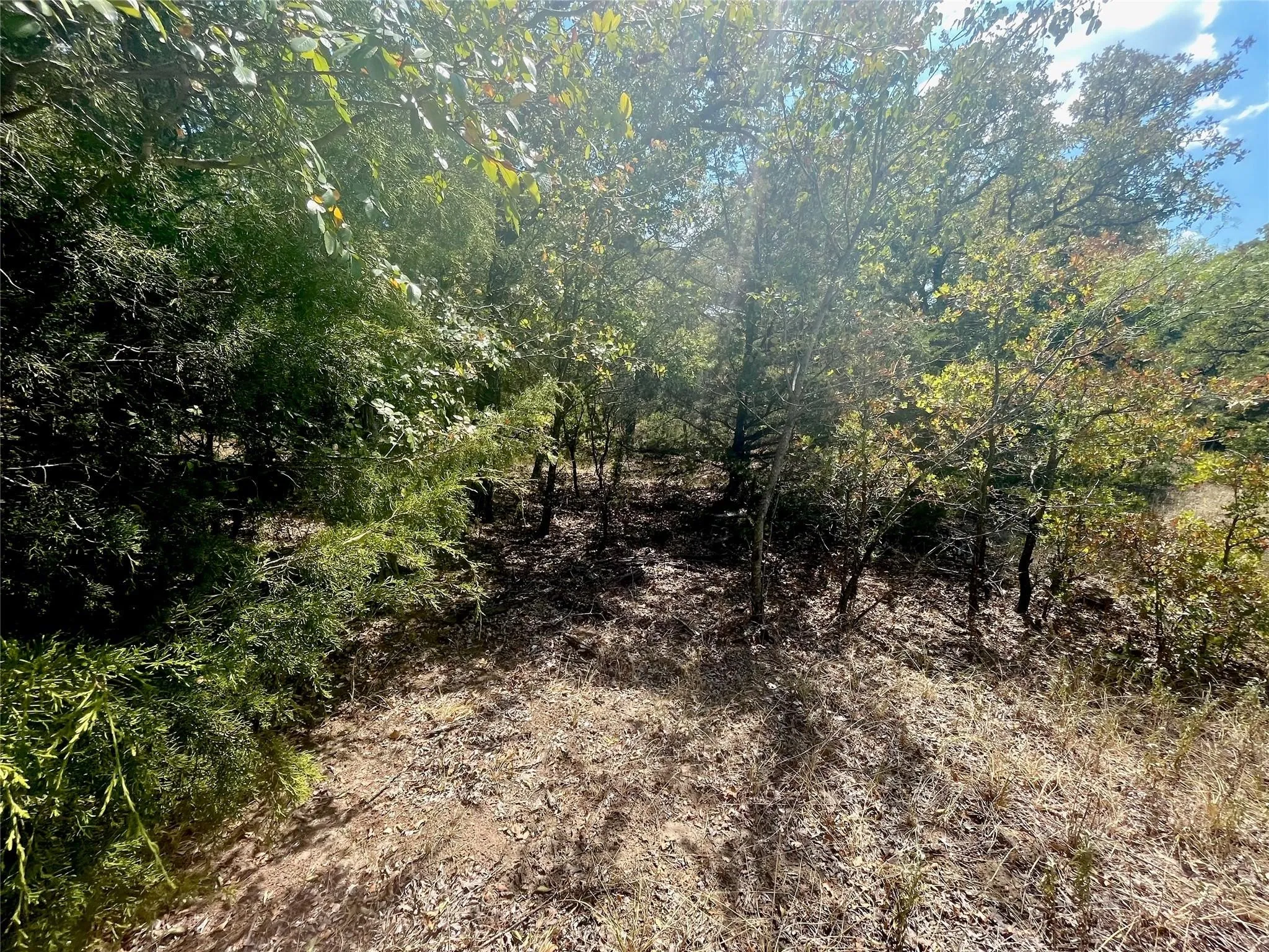 Unimproved Land For Sale in Montague County , Lot 682 Phase 7 Silverleaf, Sunset, Texas 76270, 0, 0, Garage spaces, 0 Sqft, built in 0, mls#21303575, Real Estate Agent in Sunset, Homes For Sale in Montague county, Homes For Sale in Sunset, Realtor in Sunset Texas, Real Estate Brokerage Independent Realty Texas, Luminita Cordes Realtor