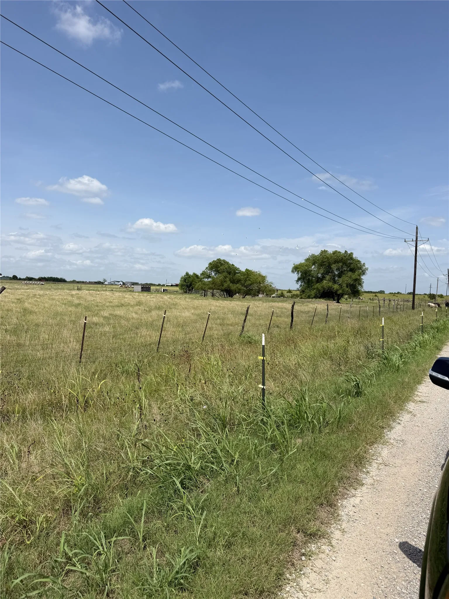Improved Land For Sale in Hunt County , 2960 County Road 1062, Greenville, Texas 75401, 0, 0, Garage spaces, 0 Sqft, built in 0, Price $190,000, mls#21312724, Real Estate Agent in Greenville, Homes For Sale in Hunt county, Homes For Sale in Greenville, Realtor in Greenville Texas, Real Estate Brokerage Independent Realty Texas, Luminita Cordes Realtor