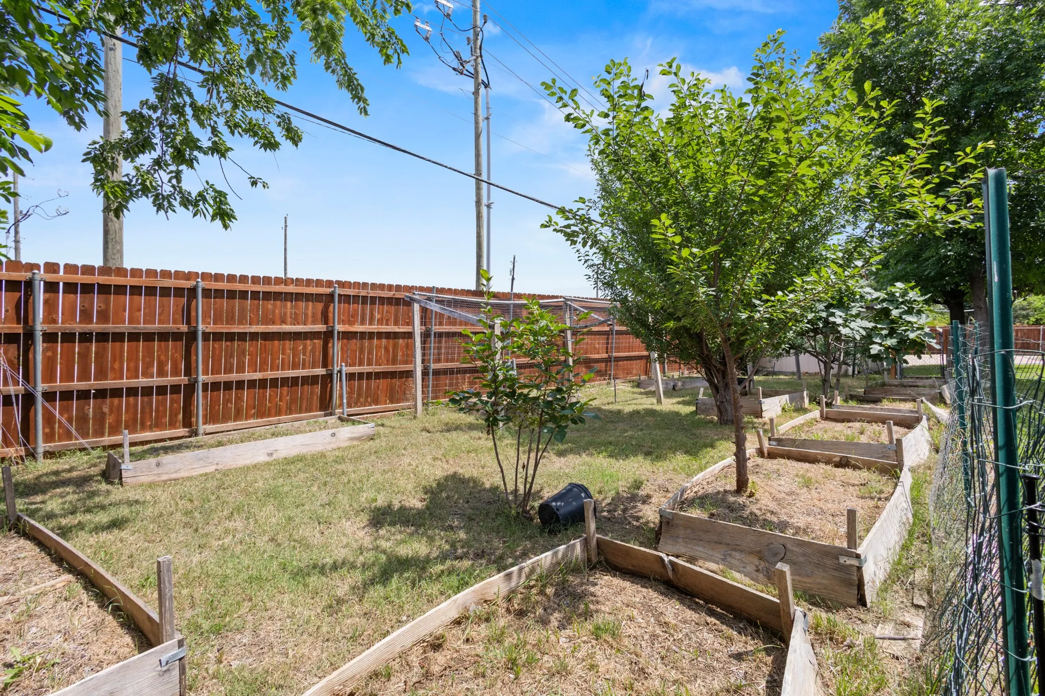 Mature trees, productive orchard with multiple fruit bearing varieties