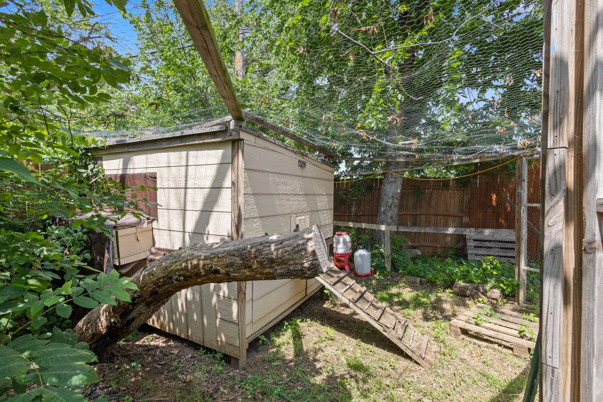 Chicken Coop