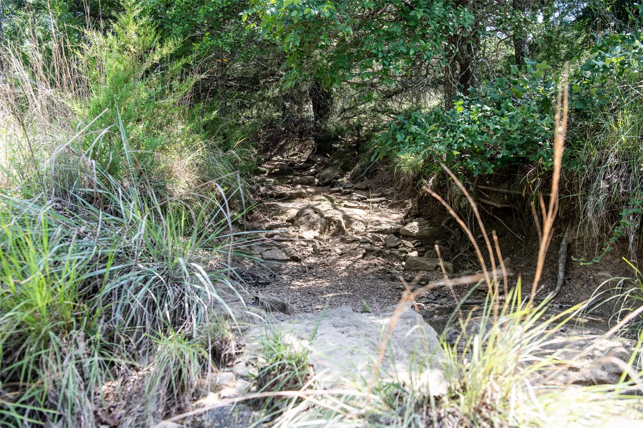 Unimproved Land For Sale in Montague County , LOT 665 Silver Leaf Drive, Sunset, Texas 76270, 0, 0, Garage spaces, 0 Sqft, built in 0, Price $135,000, mls#21310251, Real Estate Agent in Sunset, Homes For Sale in Montague county, Homes For Sale in Sunset, Realtor in Sunset Texas, Real Estate Brokerage Independent Realty Texas, Luminita Cordes Realtor