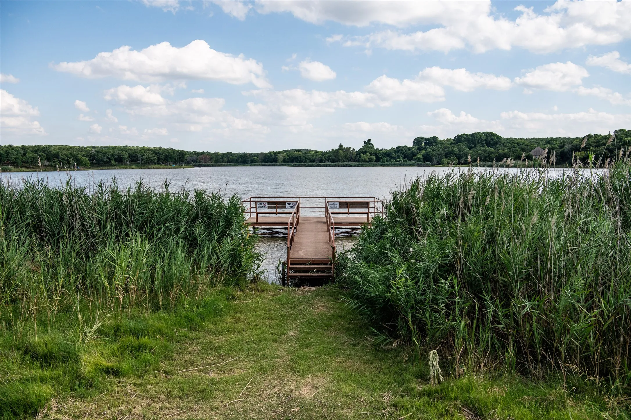 Unimproved Land For Sale in Montague County , LOT 665 Silver Leaf Drive, Sunset, Texas 76270, 0, 0, Garage spaces, 0 Sqft, built in 0, Price $135,000, mls#21310251, Real Estate Agent in Sunset, Homes For Sale in Montague county, Homes For Sale in Sunset, Realtor in Sunset Texas, Real Estate Brokerage Independent Realty Texas, Luminita Cordes Realtor