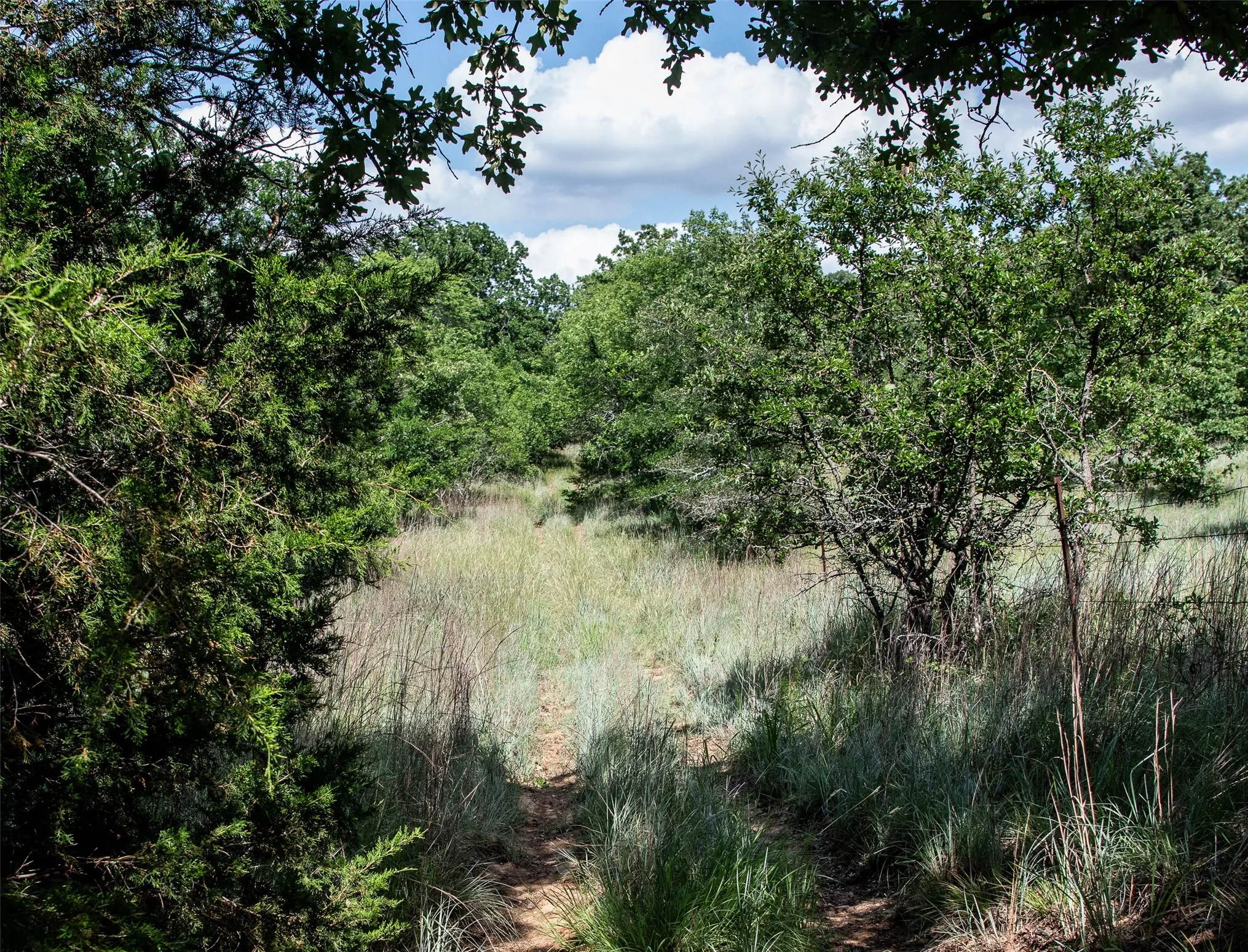 Unimproved Land For Sale in Montague County , LOT 665 Silver Leaf Drive, Sunset, Texas 76270, 0, 0, Garage spaces, 0 Sqft, built in 0, Price $135,000, mls#21310251, Real Estate Agent in Sunset, Homes For Sale in Montague county, Homes For Sale in Sunset, Realtor in Sunset Texas, Real Estate Brokerage Independent Realty Texas, Luminita Cordes Realtor