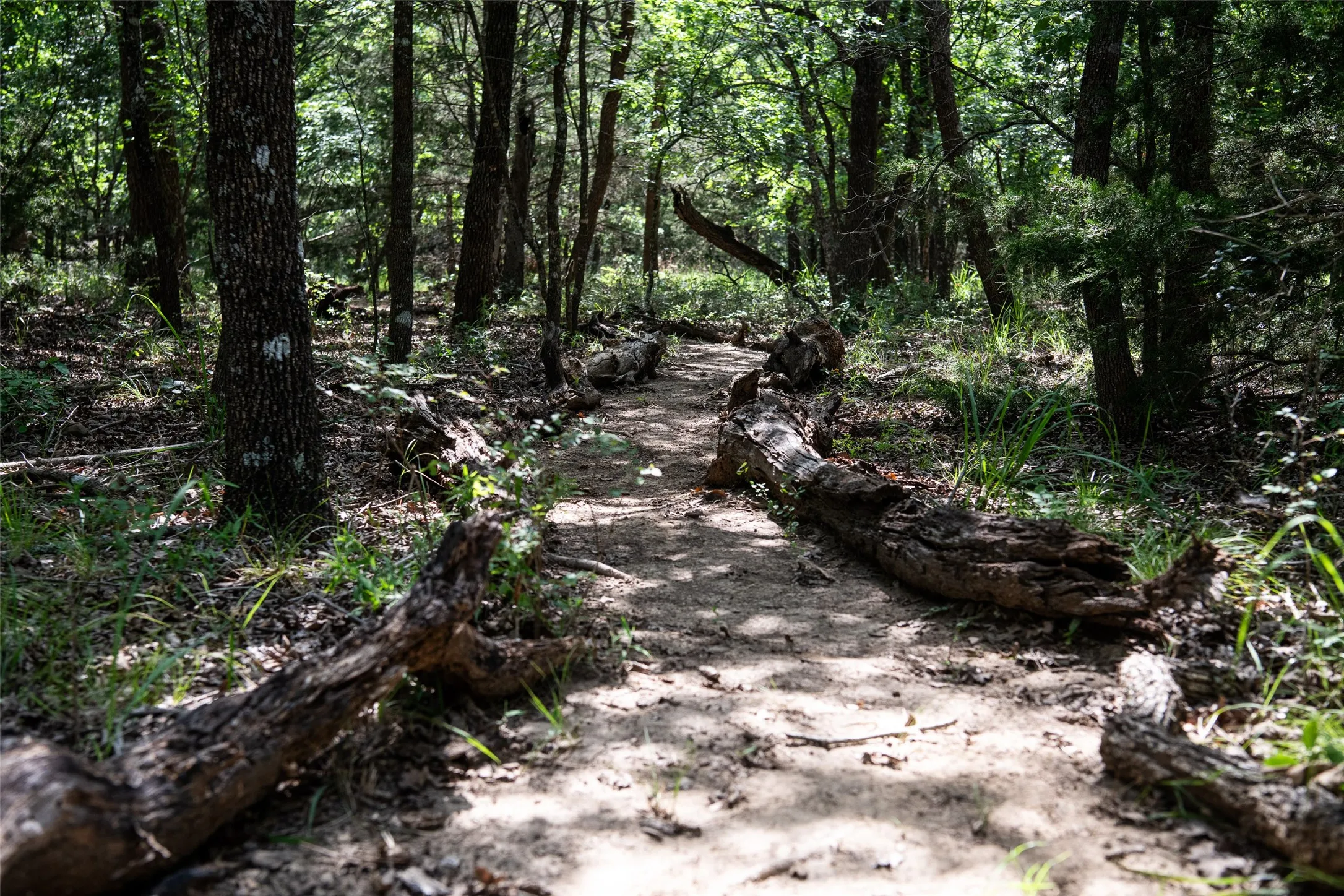 Unimproved Land For Sale in Montague County , LOT 665 Silver Leaf Drive, Sunset, Texas 76270, 0, 0, Garage spaces, 0 Sqft, built in 0, Price $135,000, mls#21310251, Real Estate Agent in Sunset, Homes For Sale in Montague county, Homes For Sale in Sunset, Realtor in Sunset Texas, Real Estate Brokerage Independent Realty Texas, Luminita Cordes Realtor