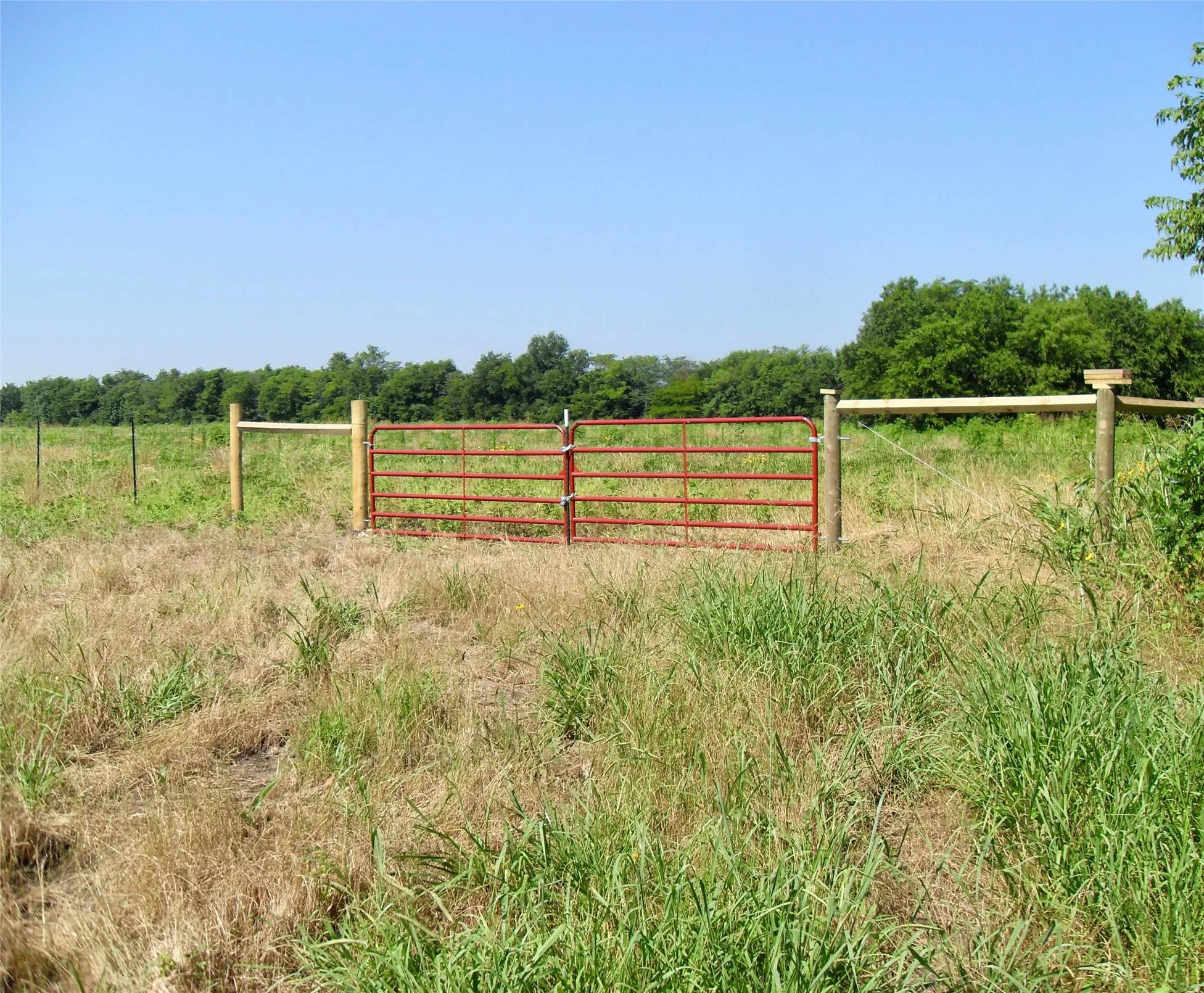 Unimproved Land For Sale in Hunt County , 1532 FM 1532, Commerce, Texas 75428, 0, 0, Garage spaces, 0 Sqft, built in 0, Price $440,000, mls#21311934, Real Estate Agent in Commerce, Homes For Sale in Hunt county, Homes For Sale in Commerce, Realtor in Commerce Texas, Real Estate Brokerage Independent Realty Texas, Luminita Cordes Realtor