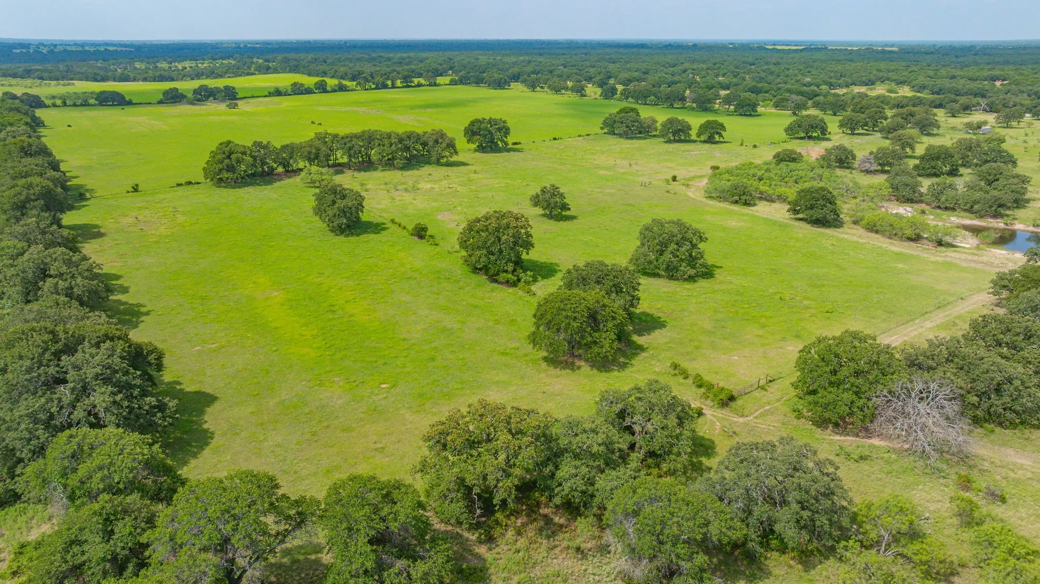 Single Family Residence For Sale in Stephens County , 12697 CR 126, Ranger, Texas 76470, 4 Bedroom, 3 Bathroom, 1 Garage spaces, 2,583 Sqft, built in 2014, mls#21312782, Real Estate Agent in Ranger, Homes For Sale in Stephens county, Homes For Sale in Ranger, Realtor in Ranger Texas, Real Estate Brokerage Independent Realty Texas, Luminita Cordes Realtor