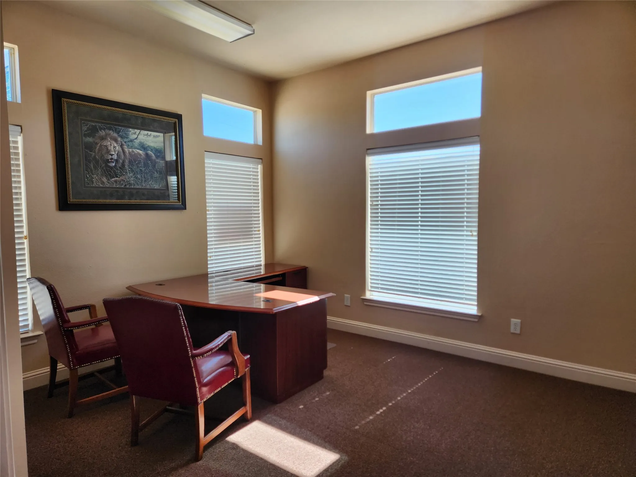 Room featuring neutral-toned walls and contrasting white trim