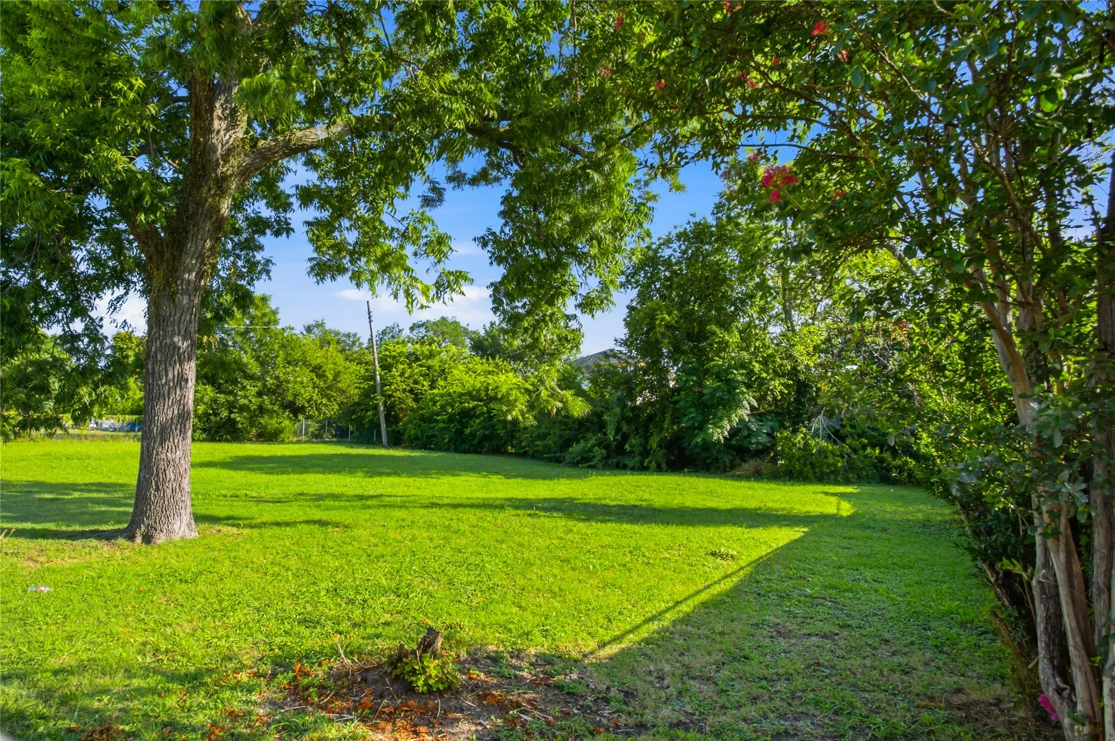 Unimproved Land For Sale in Dallas County , 2801 Medill Street, Dallas, Texas 75215, 0, 0, Garage spaces, 0 Sqft, built in 0, mls#21312065, Real Estate Agent in Dallas, Homes For Sale in Dallas county, Homes For Sale in Dallas, Realtor in Dallas Texas, Real Estate Brokerage Independent Realty Texas, Luminita Cordes Realtor