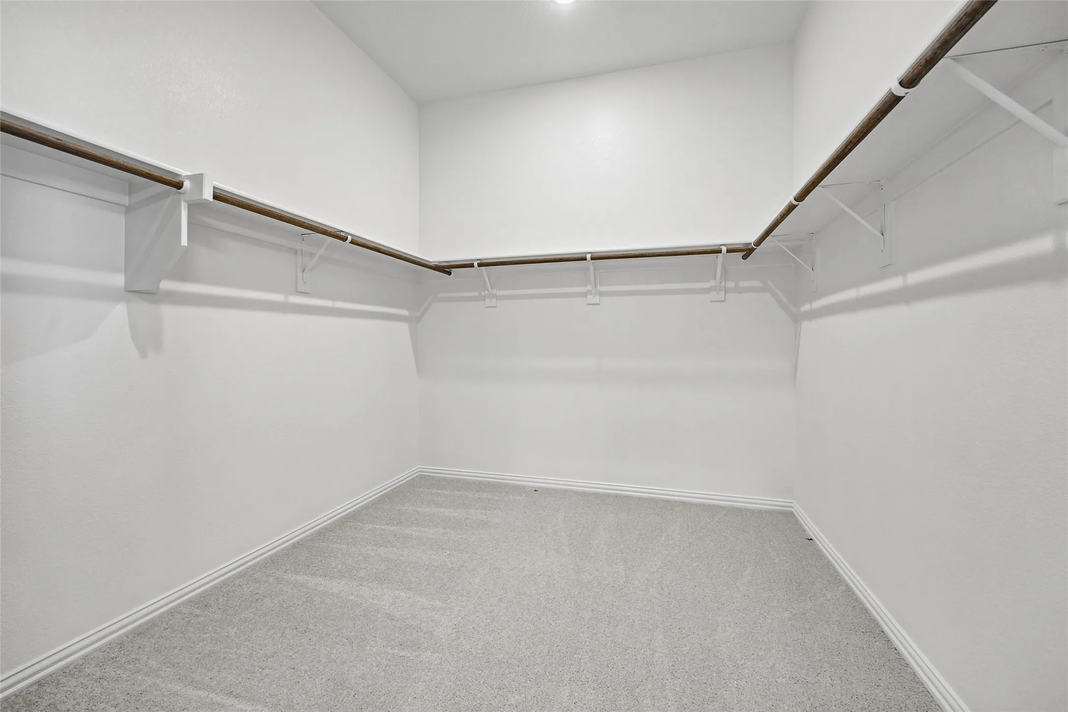 Spacious walk-in closet featuring dual clothing rods with sturdy wood-finish rails, abundant hanging space, and neutral carpeting throughout