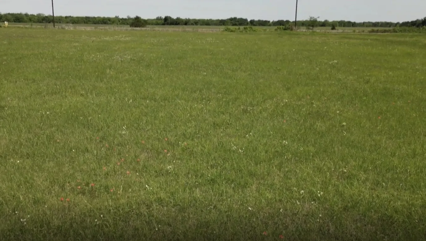 Improved Land For Sale in Lamar County , TBD Hwy 24, Paris, Texas 75460, 0, 0, Garage spaces, 0 Sqft, built in 0, mls#21312358, Real Estate Agent in Paris, Homes For Sale in Lamar county, Homes For Sale in Paris, Realtor in Paris Texas, Real Estate Brokerage Independent Realty Texas, Luminita Cordes Realtor