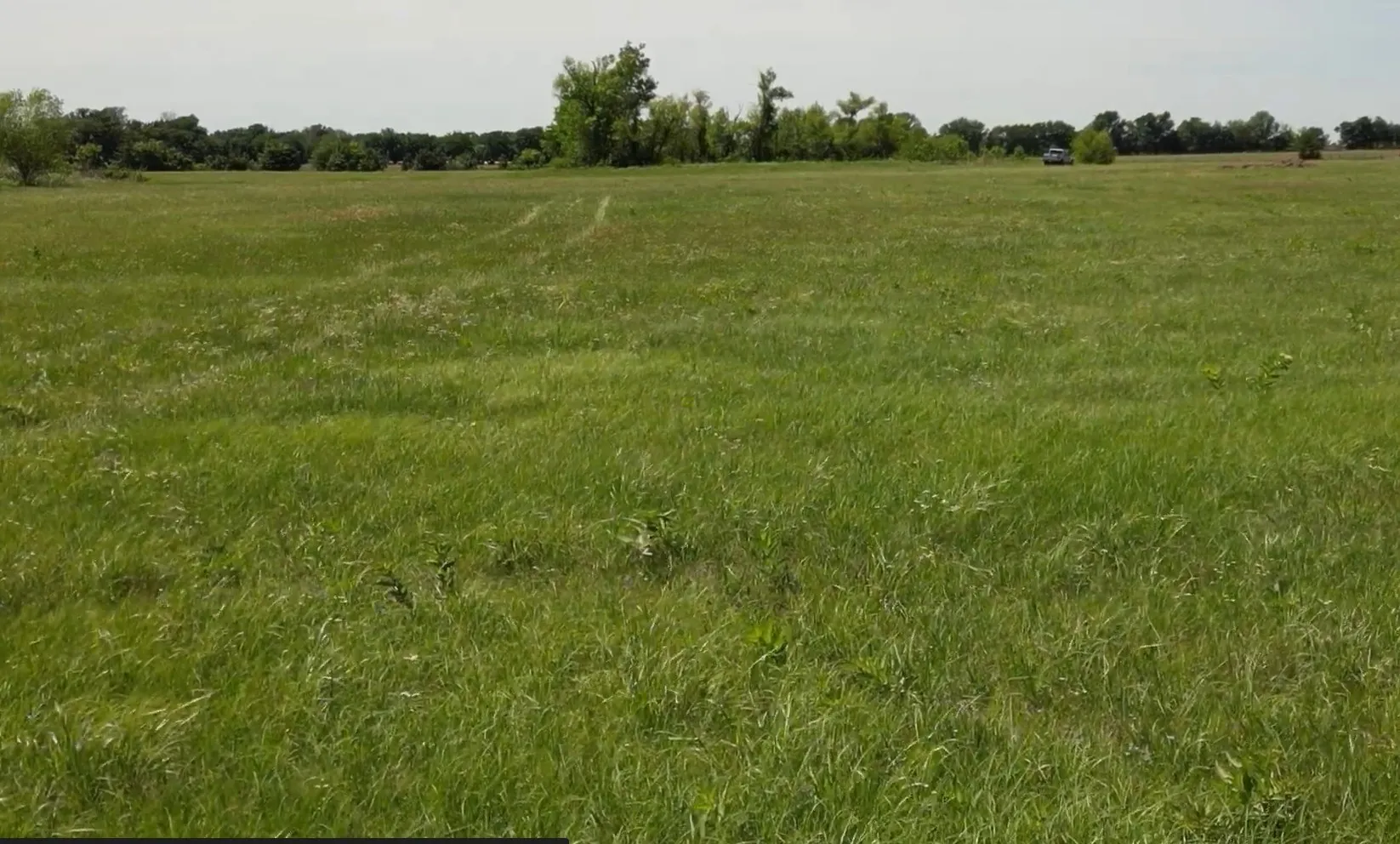 Improved Land For Sale in Lamar County , TBD Hwy 24, Paris, Texas 75460, 0, 0, Garage spaces, 0 Sqft, built in 0, mls#21312358, Real Estate Agent in Paris, Homes For Sale in Lamar county, Homes For Sale in Paris, Realtor in Paris Texas, Real Estate Brokerage Independent Realty Texas, Luminita Cordes Realtor