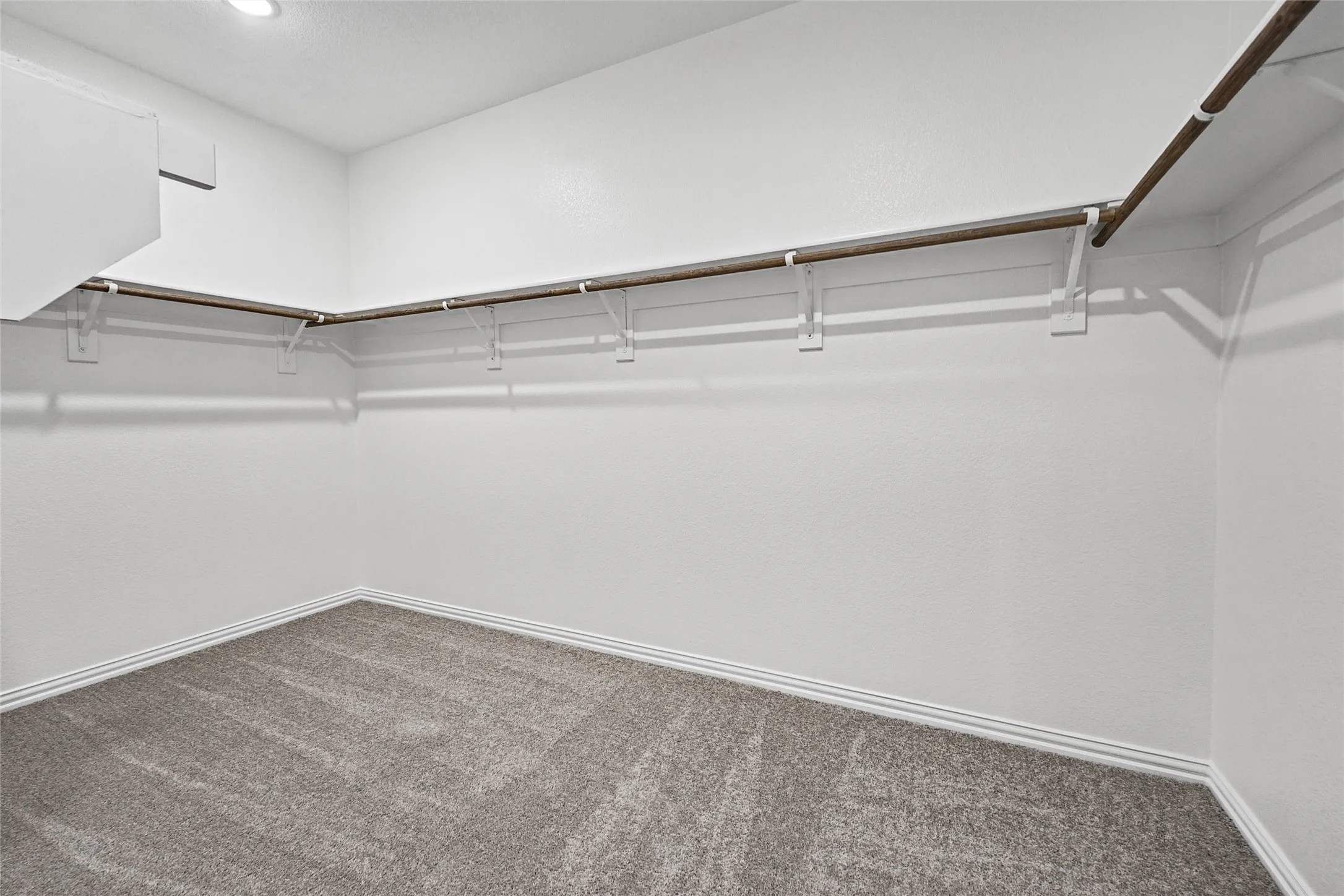Walk-in closet with carpet flooring, white walls, built-in shelving, and recessed lighting