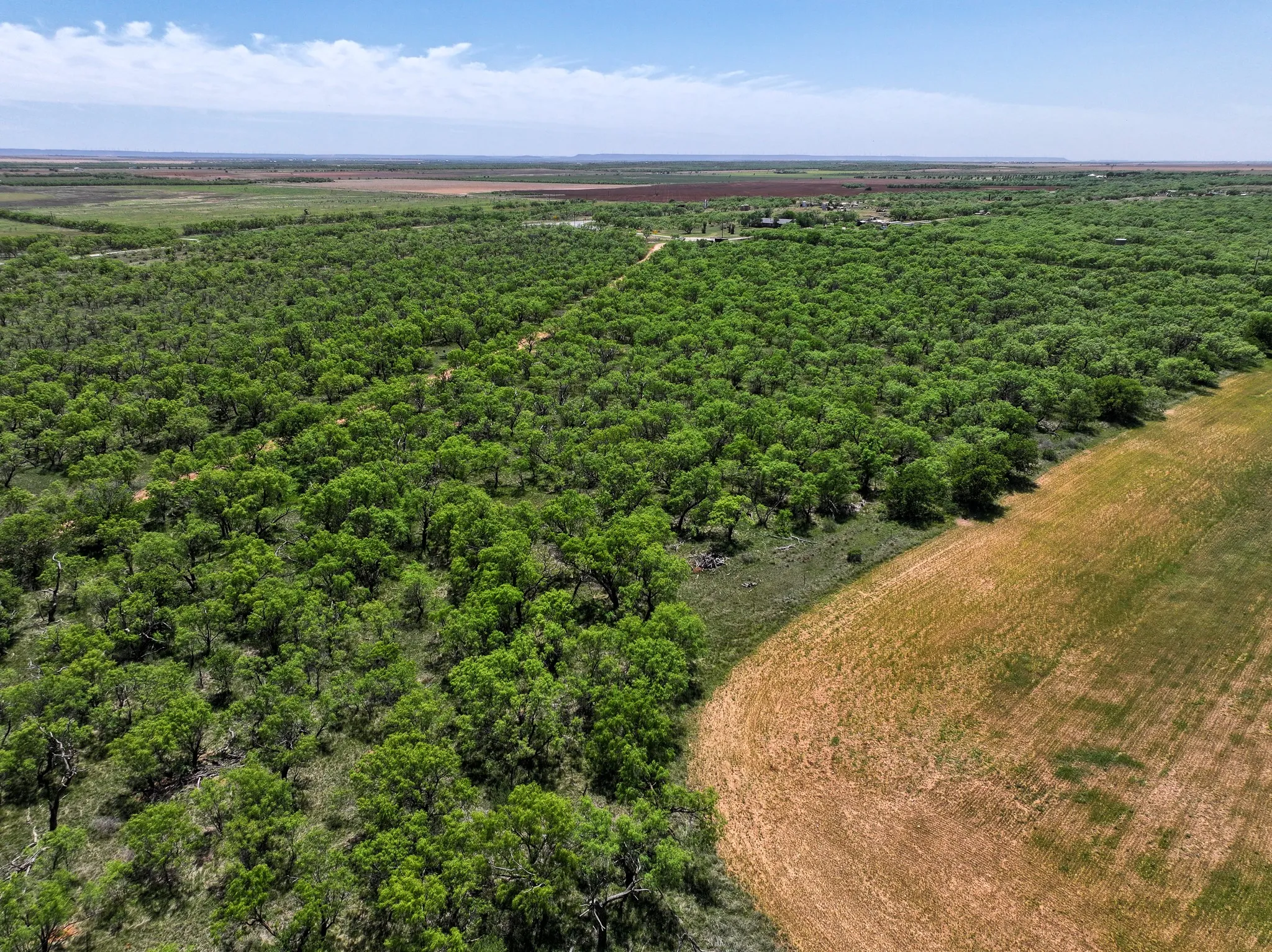 Unimproved Land For Sale in Jones County , TBD Tract 11 FM 1812, Hawley, Texas 79525, 0, 0, Garage spaces, 0 Sqft, built in 0, mls#21312879, Real Estate Agent in Hawley, Homes For Sale in Jones county, Homes For Sale in Hawley, Realtor in Hawley Texas, Real Estate Brokerage Independent Realty Texas, Luminita Cordes Realtor