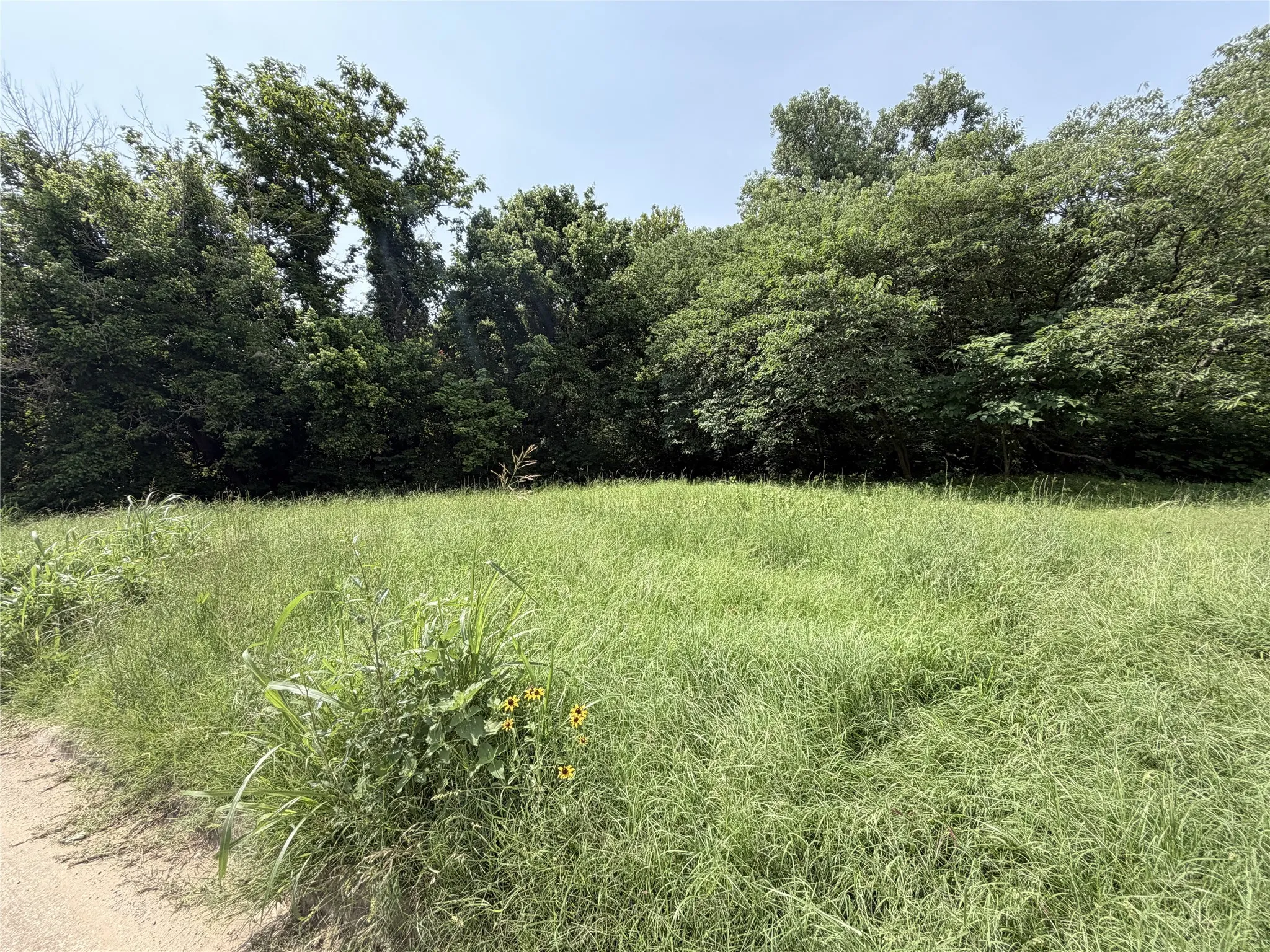 Unimproved Land For Sale in Grayson County , 1326 W Crawford Street, Denison, Texas 75020, 0, 0, Garage spaces, 0 Sqft, built in 0, mls#21312446, Real Estate Agent in Denison, Homes For Sale in Grayson county, Homes For Sale in Denison, Realtor in Denison Texas, Real Estate Brokerage Independent Realty Texas, Luminita Cordes Realtor