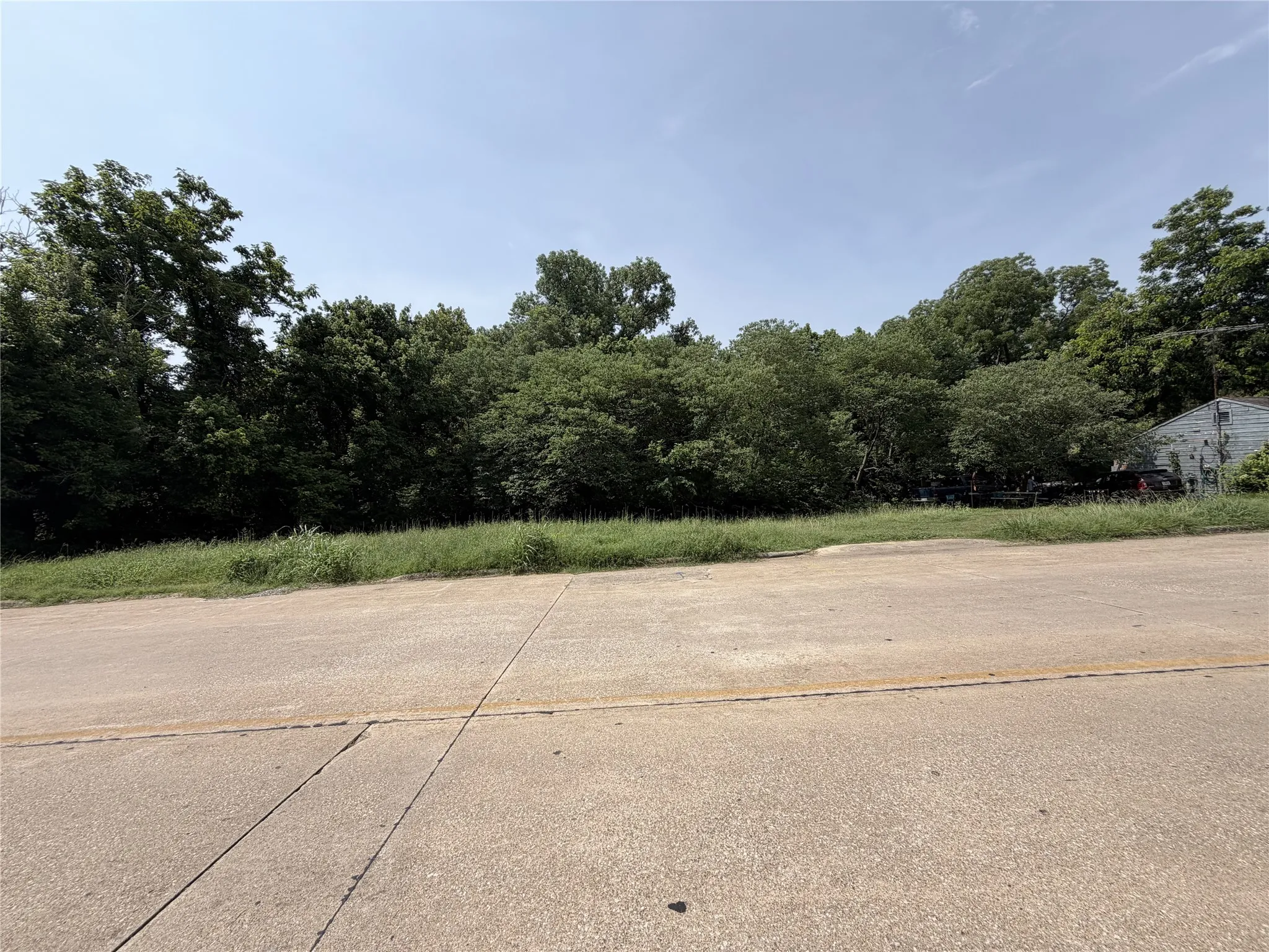 Cleared lot with mature tree line