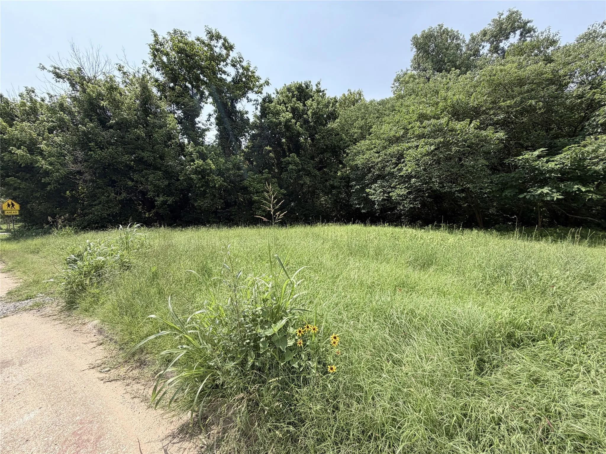 Unimproved Land For Sale in Grayson County , 1326 W Crawford Street, Denison, Texas 75020, 0, 0, Garage spaces, 0 Sqft, built in 0, mls#21312446, Real Estate Agent in Denison, Homes For Sale in Grayson county, Homes For Sale in Denison, Realtor in Denison Texas, Real Estate Brokerage Independent Realty Texas, Luminita Cordes Realtor