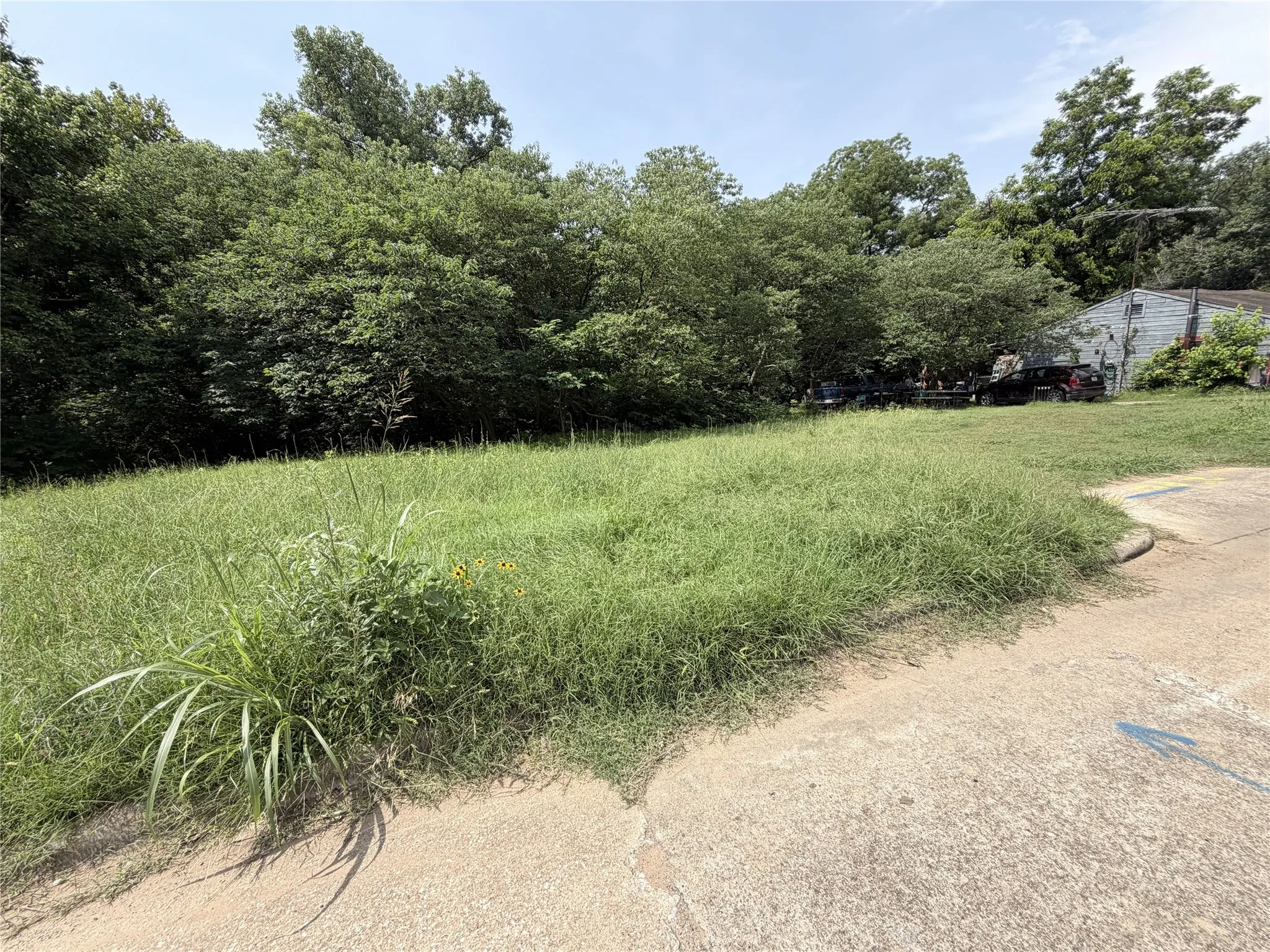 Expansive undeveloped lot with mature trees at the rear