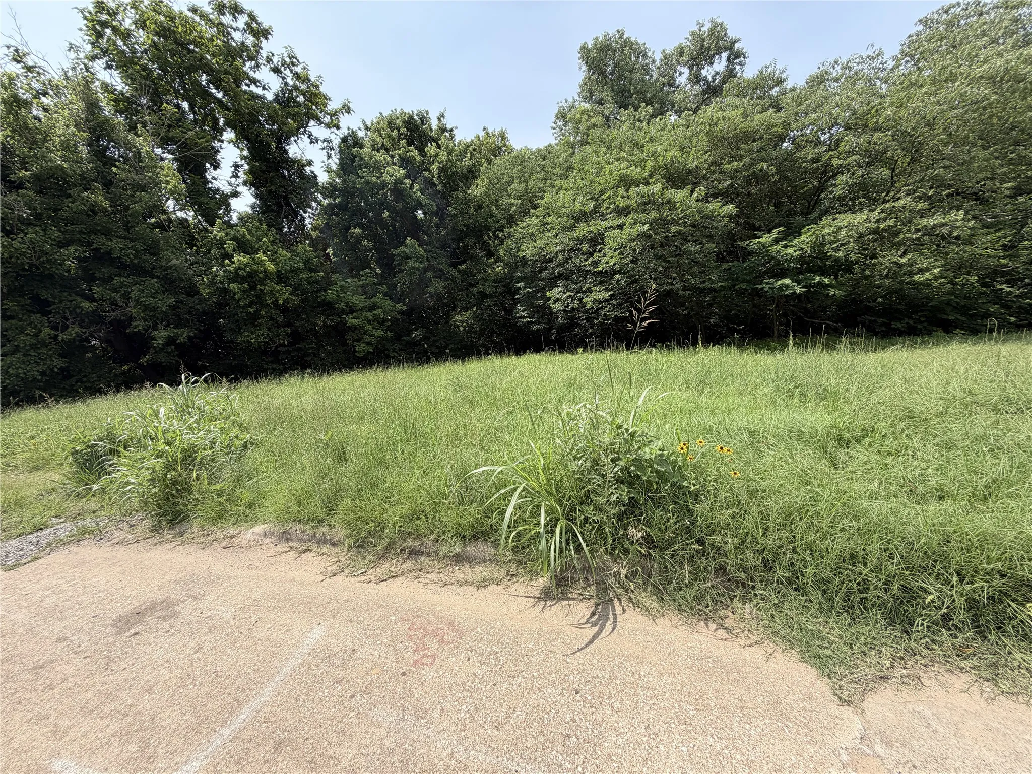Unimproved Land For Sale in Grayson County , 1326 W Crawford Street, Denison, Texas 75020, 0, 0, Garage spaces, 0 Sqft, built in 0, mls#21312446, Real Estate Agent in Denison, Homes For Sale in Grayson county, Homes For Sale in Denison, Realtor in Denison Texas, Real Estate Brokerage Independent Realty Texas, Luminita Cordes Realtor