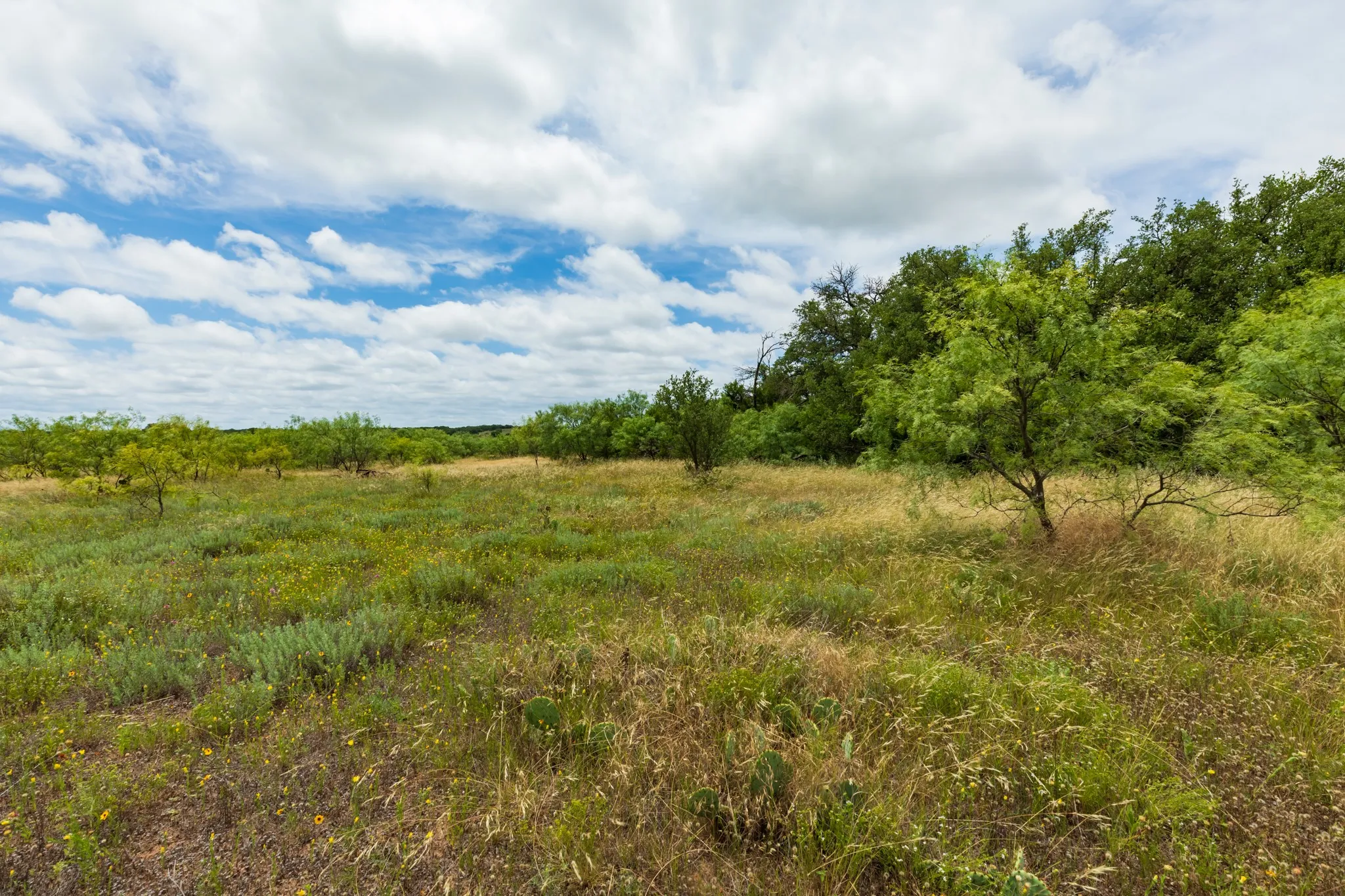 Unimproved Land For Sale in Callahan County , TBD CR 255, Oplin, Texas 79510, 0, 0, Garage spaces, 0 Sqft, built in 0, Price $312,000, mls#21313037, Real Estate Agent in Oplin, Homes For Sale in Callahan county, Homes For Sale in Oplin, Realtor in Oplin Texas, Real Estate Brokerage Independent Realty Texas, Luminita Cordes Realtor