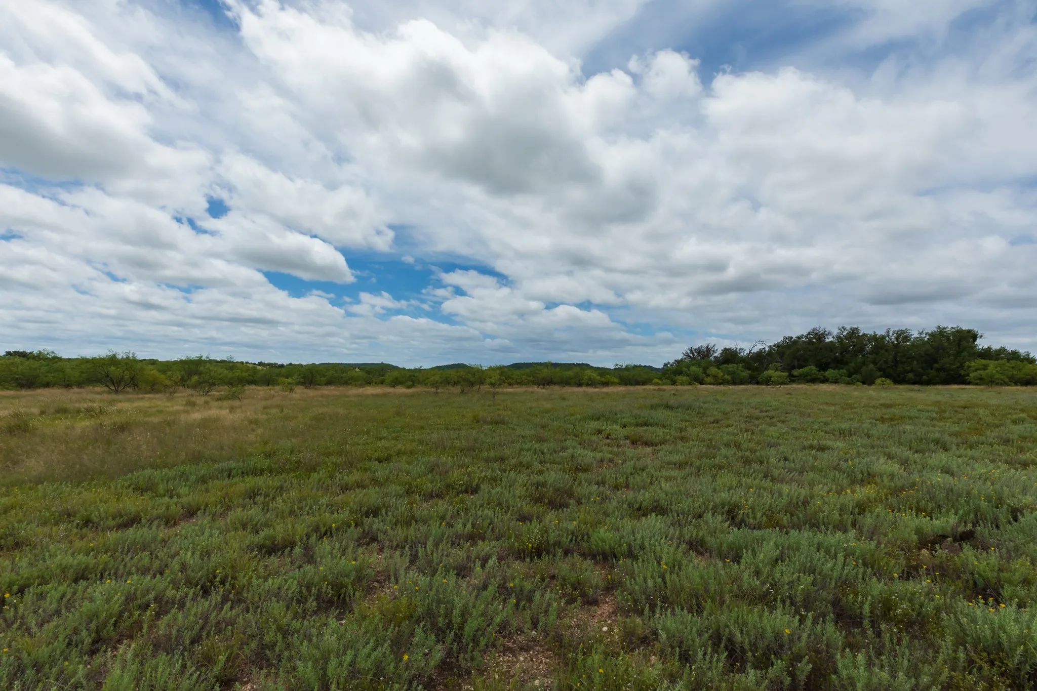 Unimproved Land For Sale in Callahan County , TBD CR 255, Oplin, Texas 79510, 0, 0, Garage spaces, 0 Sqft, built in 0, Price $312,000, mls#21313037, Real Estate Agent in Oplin, Homes For Sale in Callahan county, Homes For Sale in Oplin, Realtor in Oplin Texas, Real Estate Brokerage Independent Realty Texas, Luminita Cordes Realtor