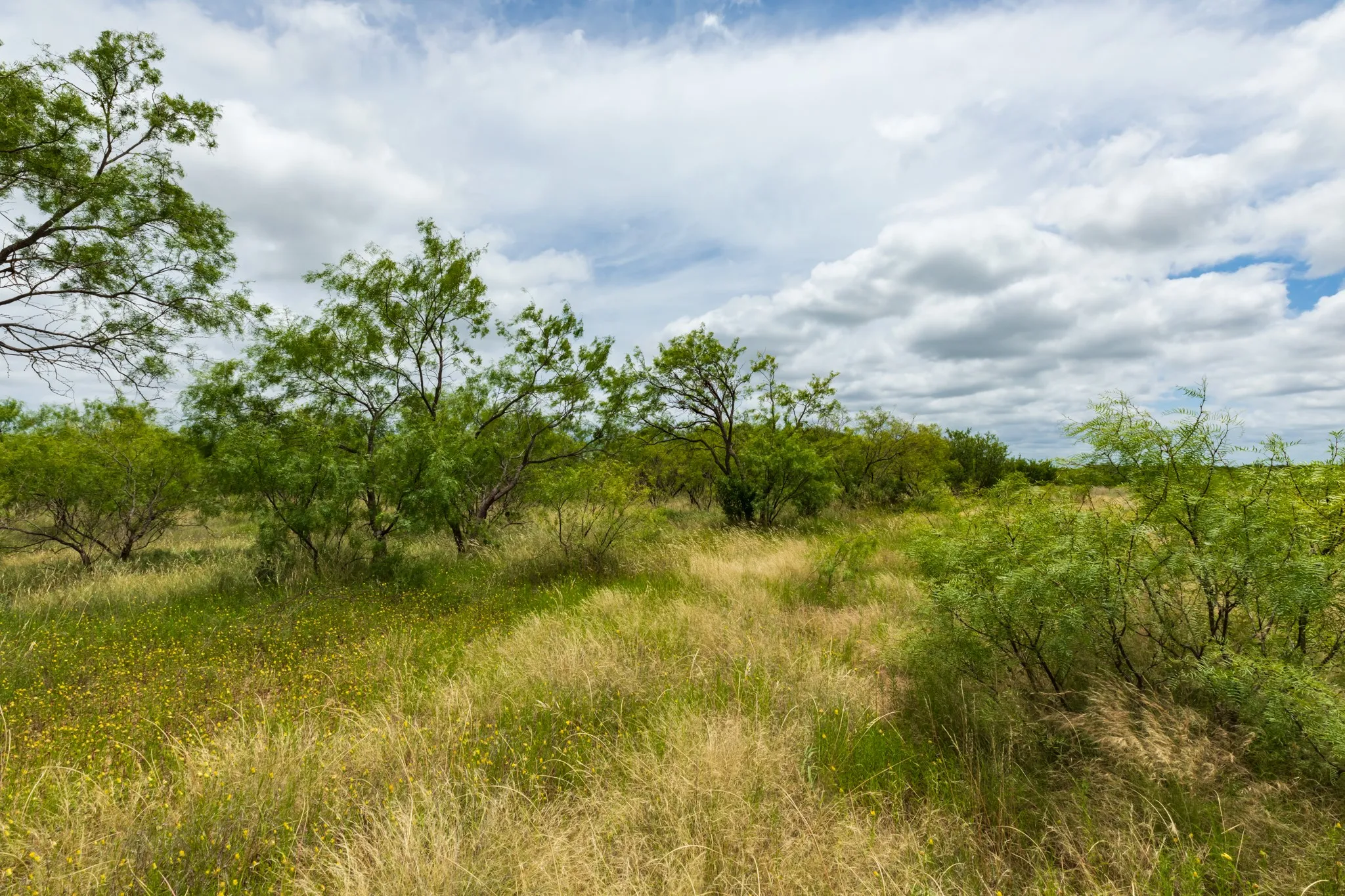 Unimproved Land For Sale in Callahan County , TBD CR 255, Oplin, Texas 79510, 0, 0, Garage spaces, 0 Sqft, built in 0, Price $312,000, mls#21313037, Real Estate Agent in Oplin, Homes For Sale in Callahan county, Homes For Sale in Oplin, Realtor in Oplin Texas, Real Estate Brokerage Independent Realty Texas, Luminita Cordes Realtor
