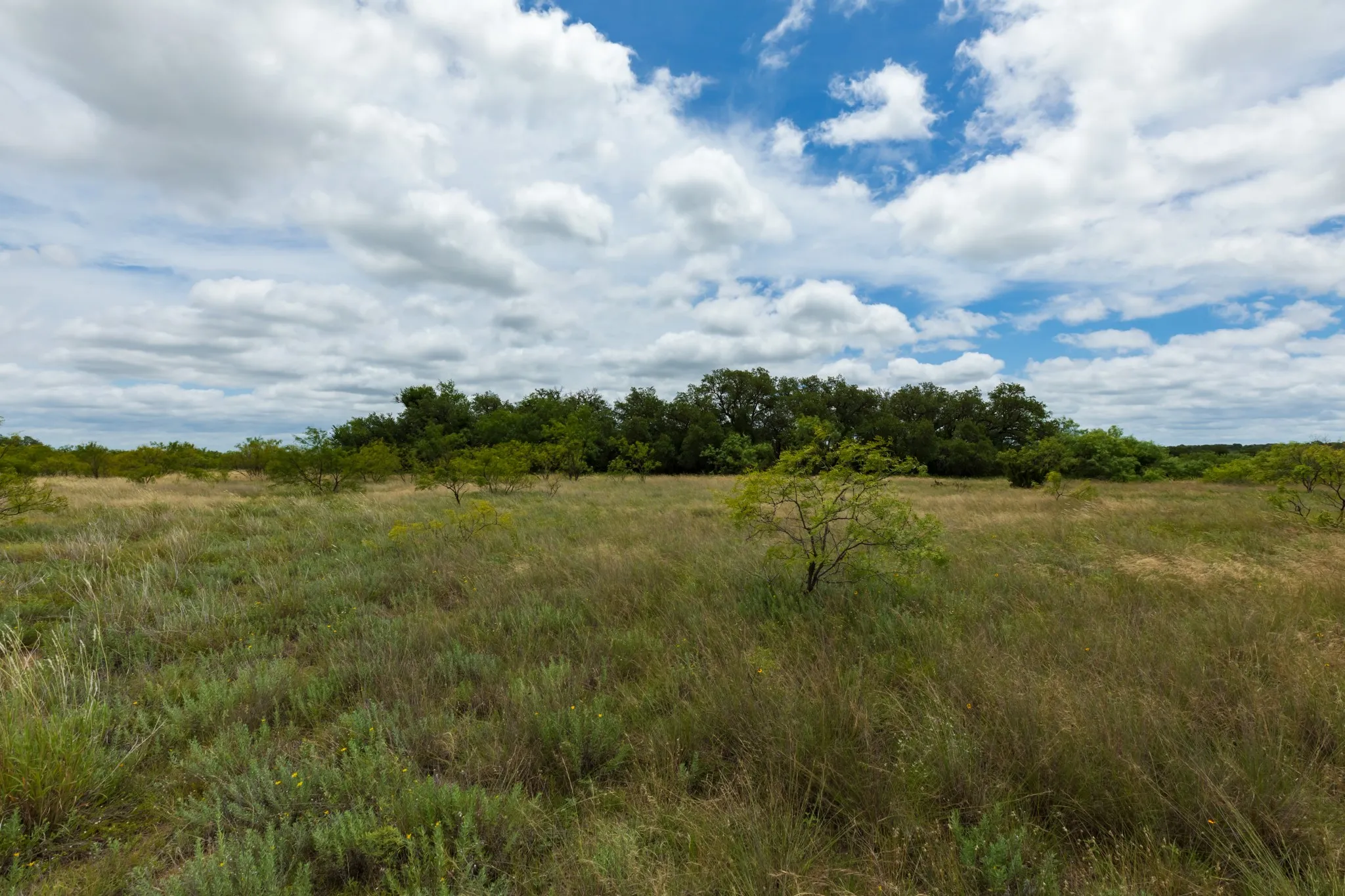 Unimproved Land For Sale in Callahan County , TBD CR 255, Oplin, Texas 79510, 0, 0, Garage spaces, 0 Sqft, built in 0, Price $312,000, mls#21313037, Real Estate Agent in Oplin, Homes For Sale in Callahan county, Homes For Sale in Oplin, Realtor in Oplin Texas, Real Estate Brokerage Independent Realty Texas, Luminita Cordes Realtor