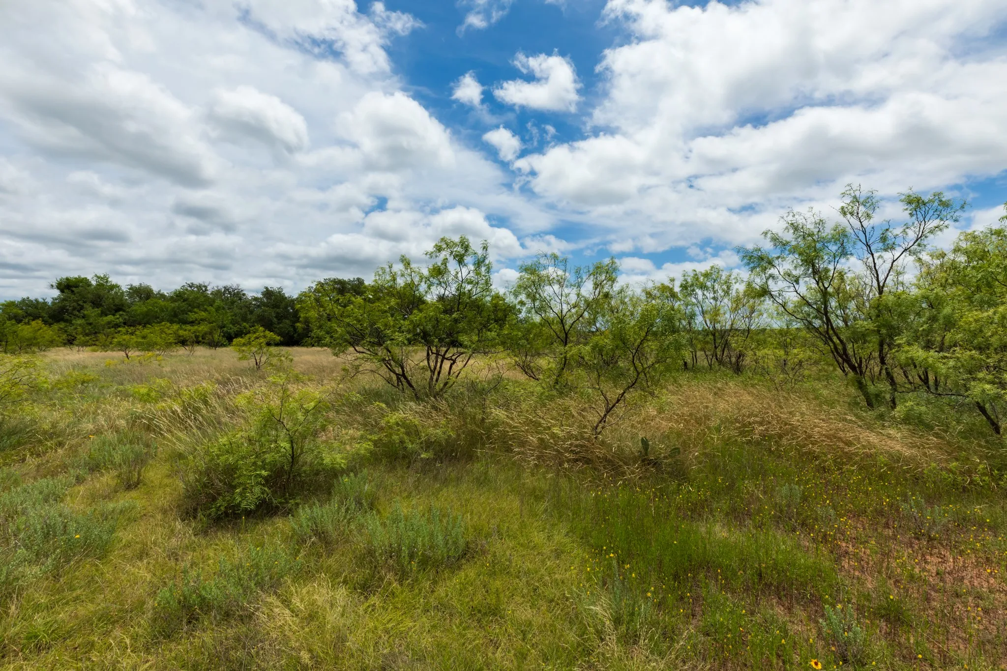 Unimproved Land For Sale in Callahan County , TBD CR 255, Oplin, Texas 79510, 0, 0, Garage spaces, 0 Sqft, built in 0, Price $312,000, mls#21313037, Real Estate Agent in Oplin, Homes For Sale in Callahan county, Homes For Sale in Oplin, Realtor in Oplin Texas, Real Estate Brokerage Independent Realty Texas, Luminita Cordes Realtor