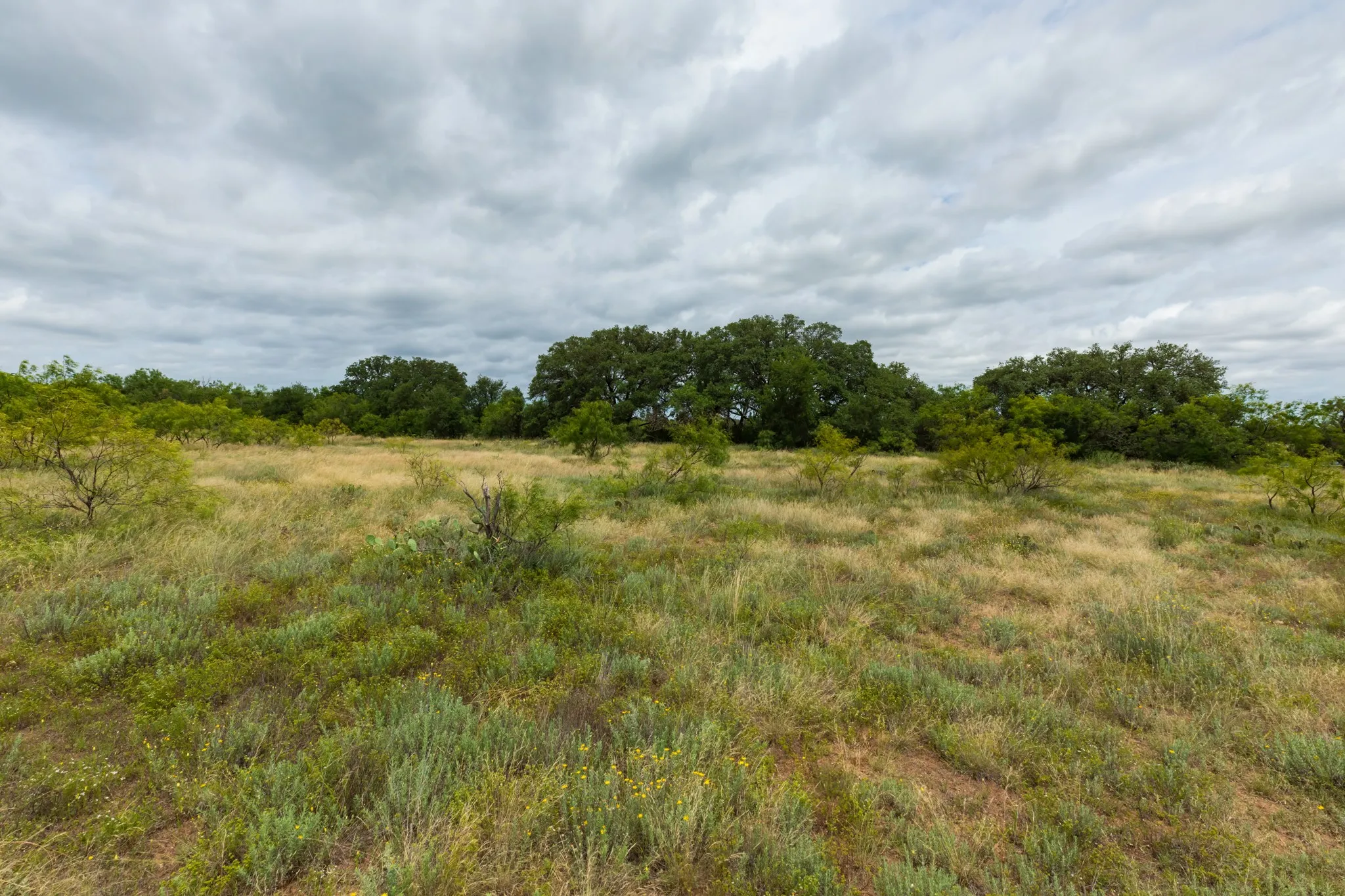 Unimproved Land For Sale in Callahan County , TBD CR 255, Oplin, Texas 79510, 0, 0, Garage spaces, 0 Sqft, built in 0, Price $312,000, mls#21313037, Real Estate Agent in Oplin, Homes For Sale in Callahan county, Homes For Sale in Oplin, Realtor in Oplin Texas, Real Estate Brokerage Independent Realty Texas, Luminita Cordes Realtor