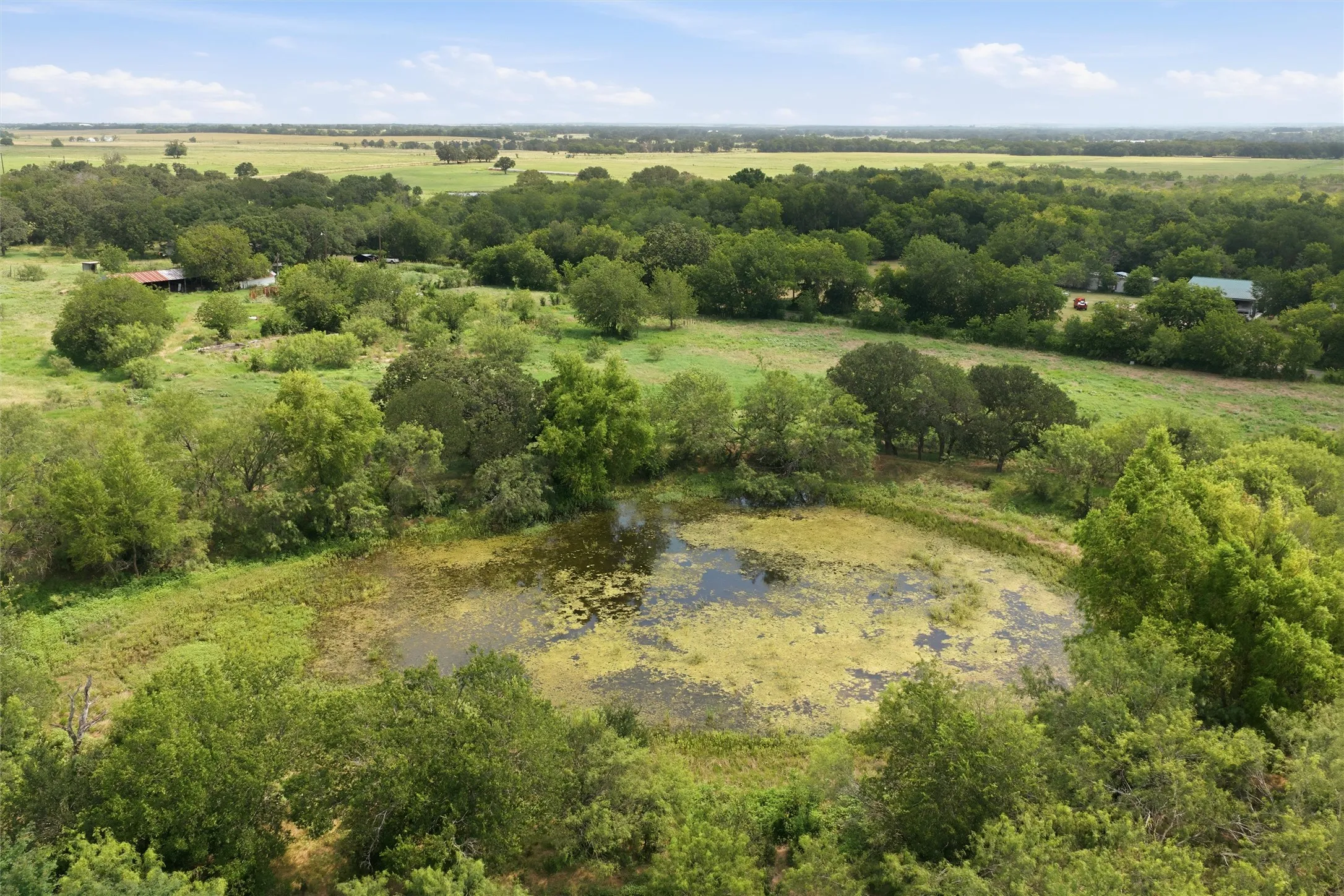 Expansive natural landscape featuring a prominent pond surrounded by diverse foliage and mature trees