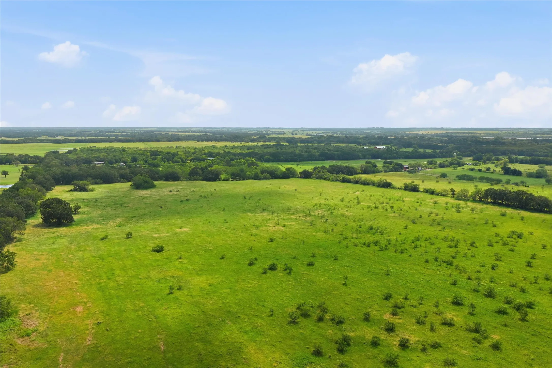 Expansive green acreage featuring scattered trees and a distant tree line