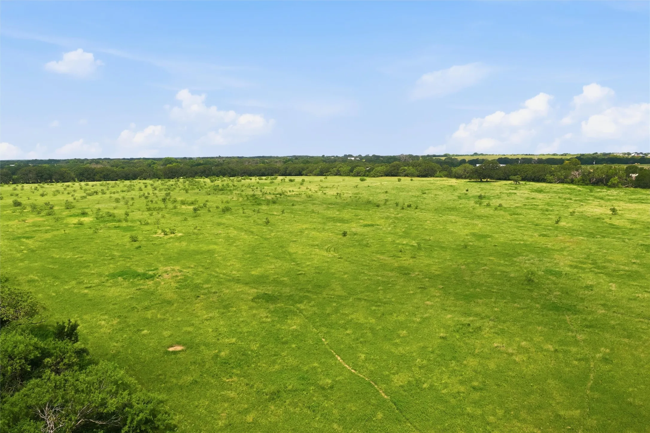Ranch For Sale in Mc Lennan County , 220 Homer Young Lane, Axtell, Texas 76624, 0, 0, Garage spaces, 0 Sqft, built in 1956, Price $706,370, mls#21312260, Real Estate Agent in Axtell, Homes For Sale in Mc Lennan county, Homes For Sale in Axtell, Realtor in Axtell Texas, Real Estate Brokerage Independent Realty Texas, Luminita Cordes Realtor